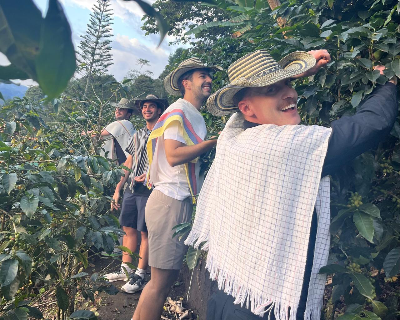 Cocora Valley Wax Palm Trek & Coffee Farm Tour from Salento