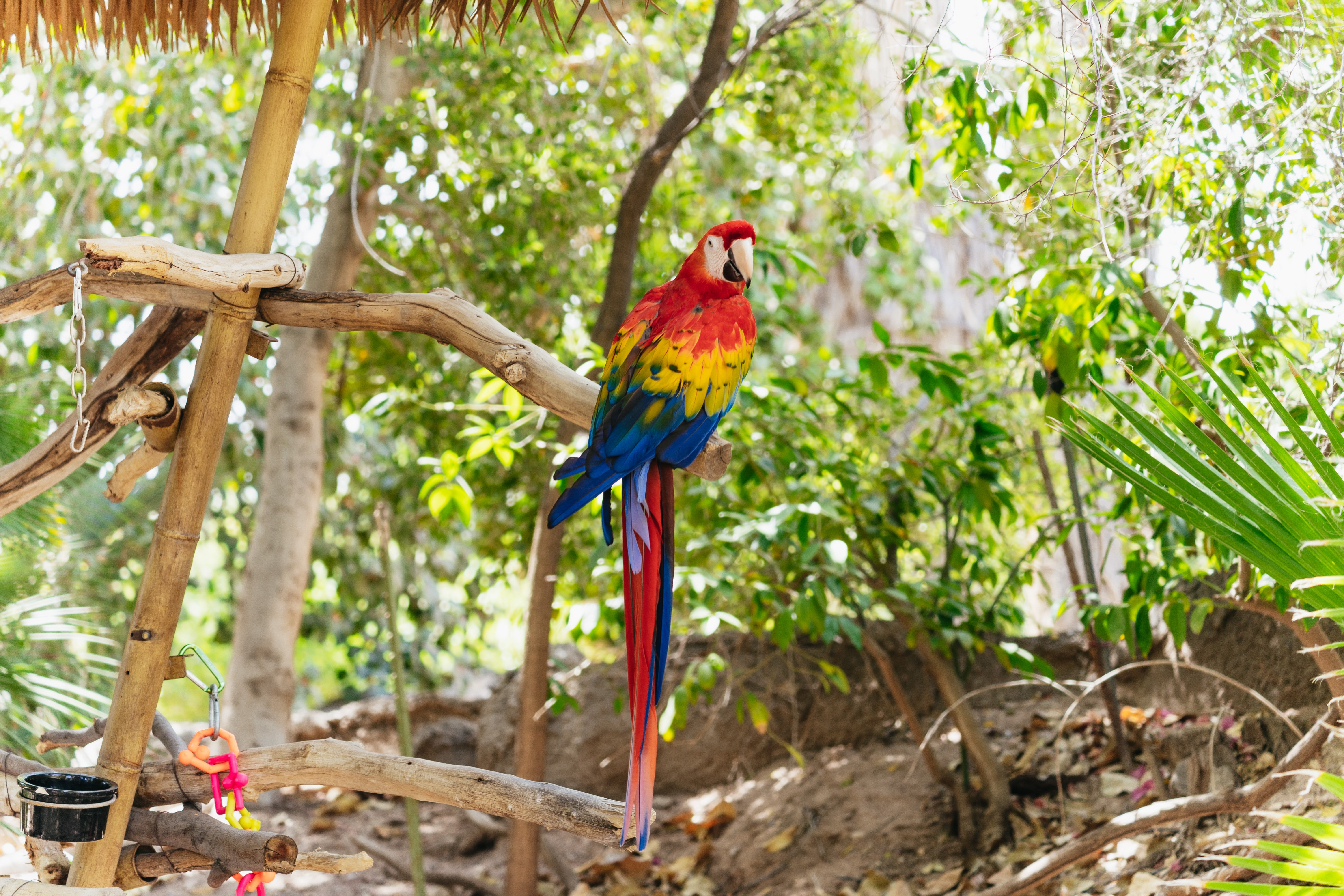 Phoenix Zoo: General Admission Ticket