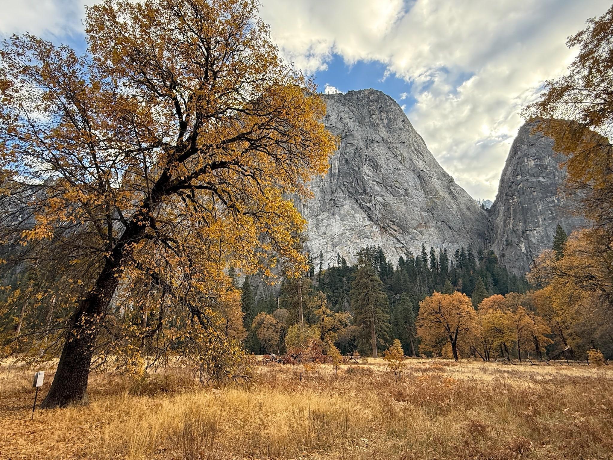 Yosemite National Park granite cliffs and waterfalls seen on a day trip from San Francisco — image 24