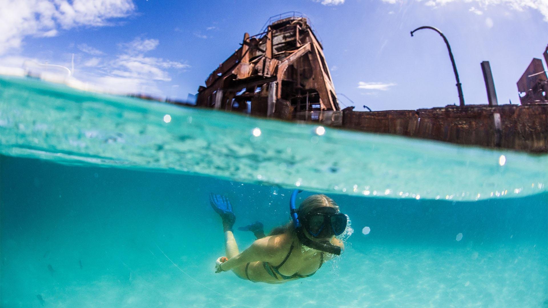 Moreton Island Day Trip with Shipwreck Snorkeling & Dolphin Encounter
