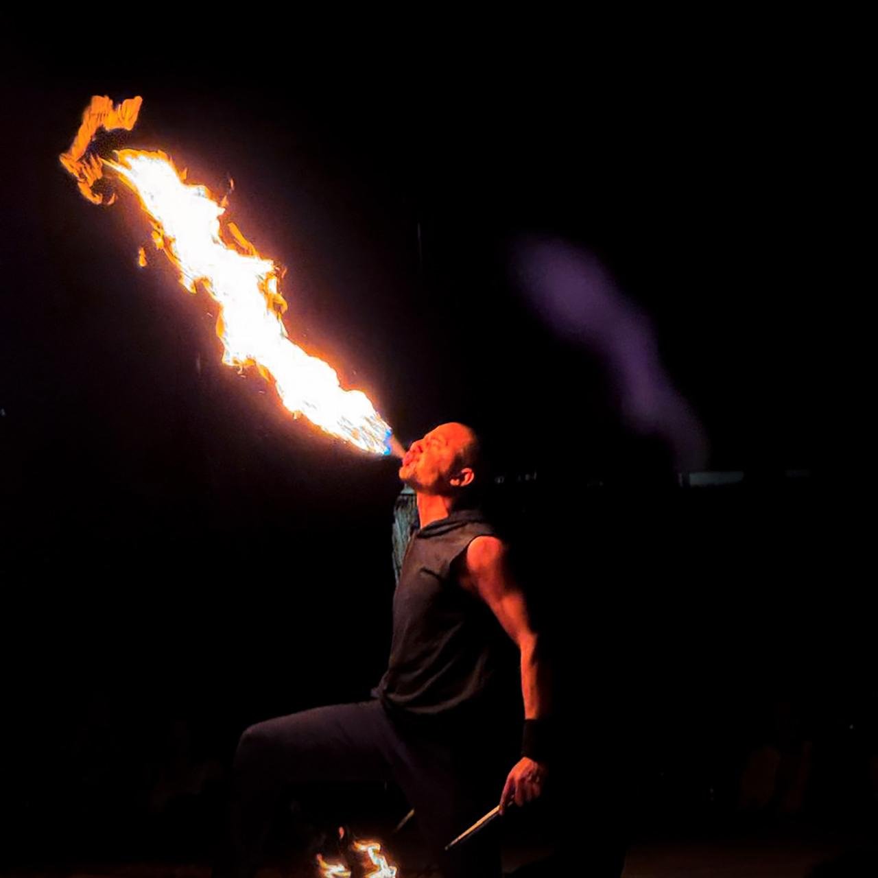 Abu Dhabi Desert Safari with BBQ Dinner & Live Entertainment