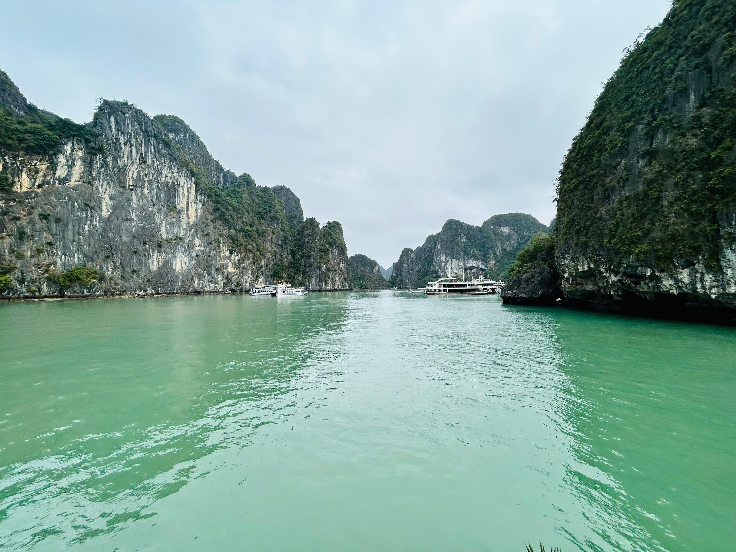Ha Long Bay Full-Day Cruise: Caves, Kayaking & Scenic Views