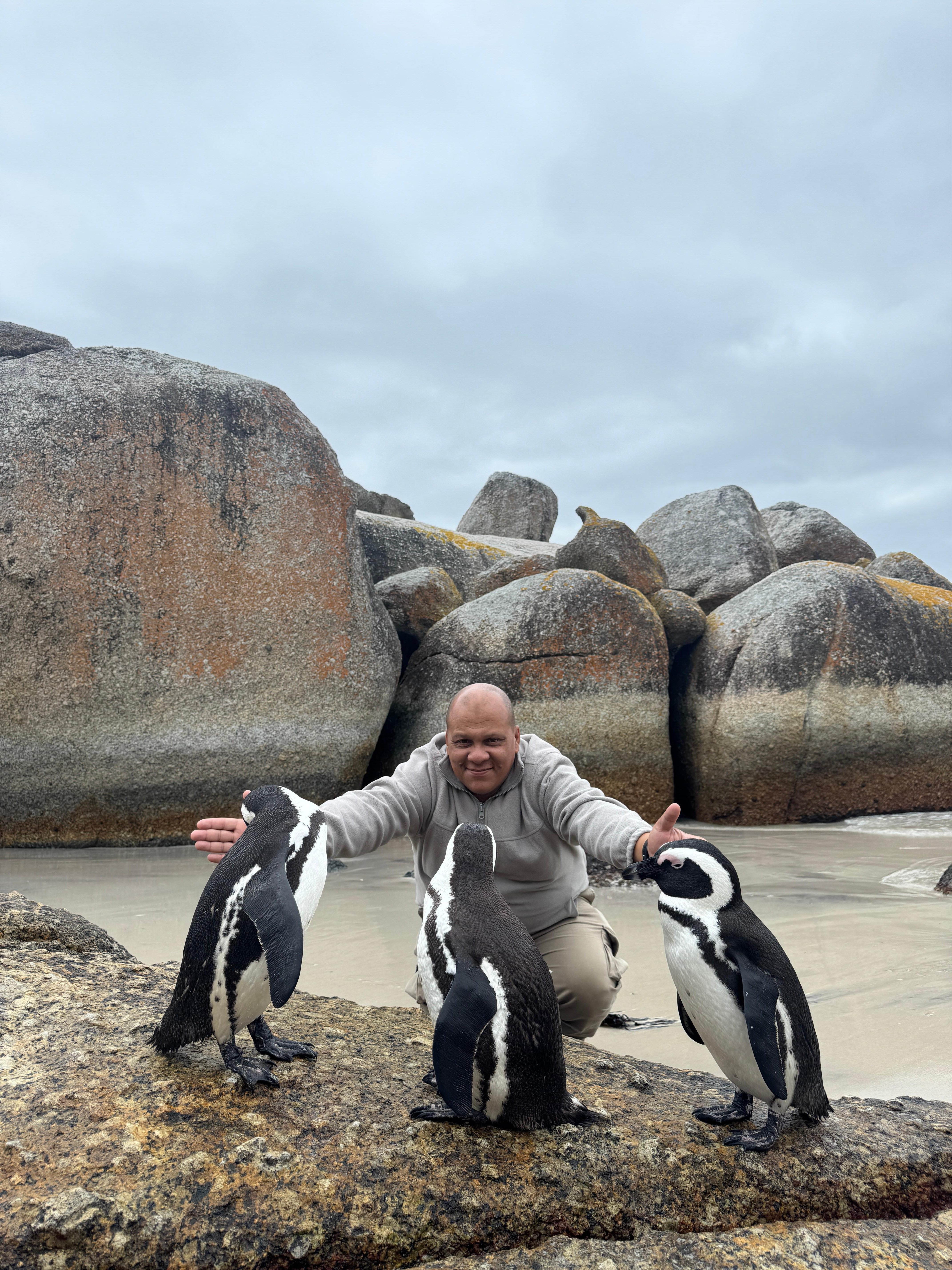 Cape Peninsula Full-Day Tour: Penguins, Cape Point & Coastal Drives