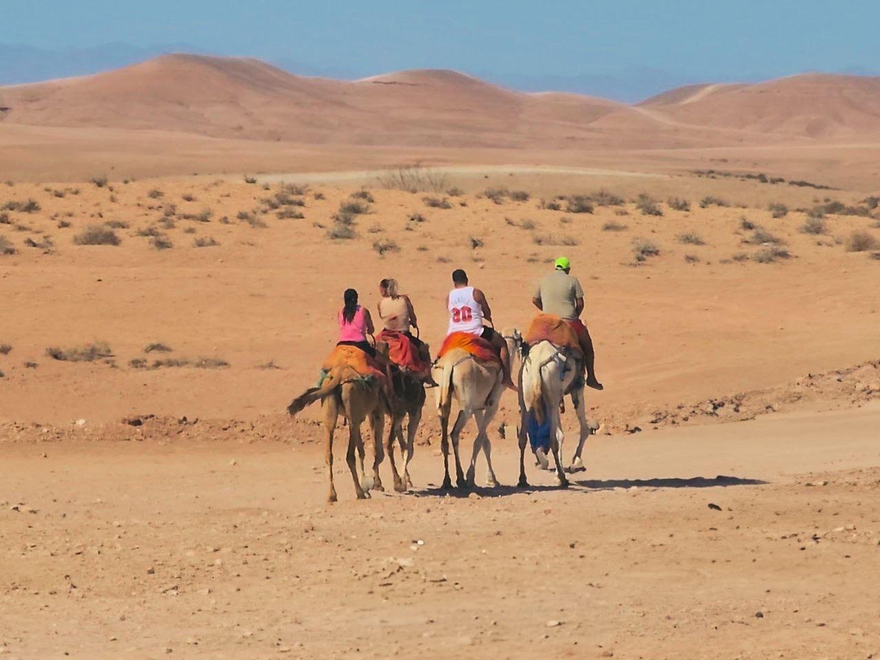 Agafay Desert Day Trip: Quad Biking, Camel Ride, Lunch & Pool