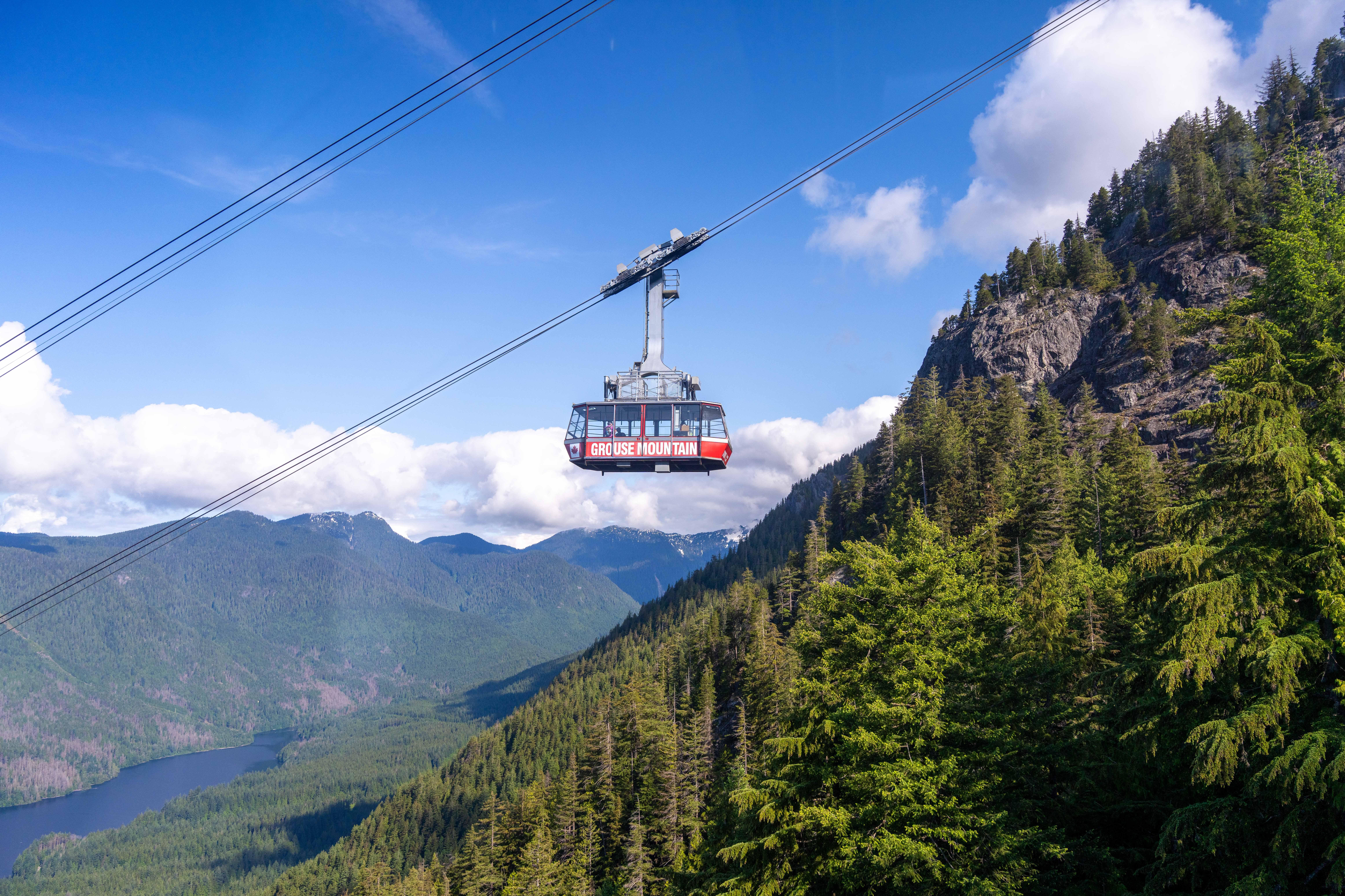 Grouse Mountain Skyride & Peak Admission Ticket
