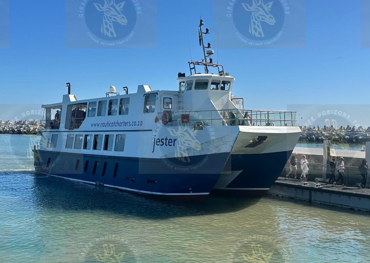 Robben Island Ferry, Prison & Guided Tour from Cape Town
