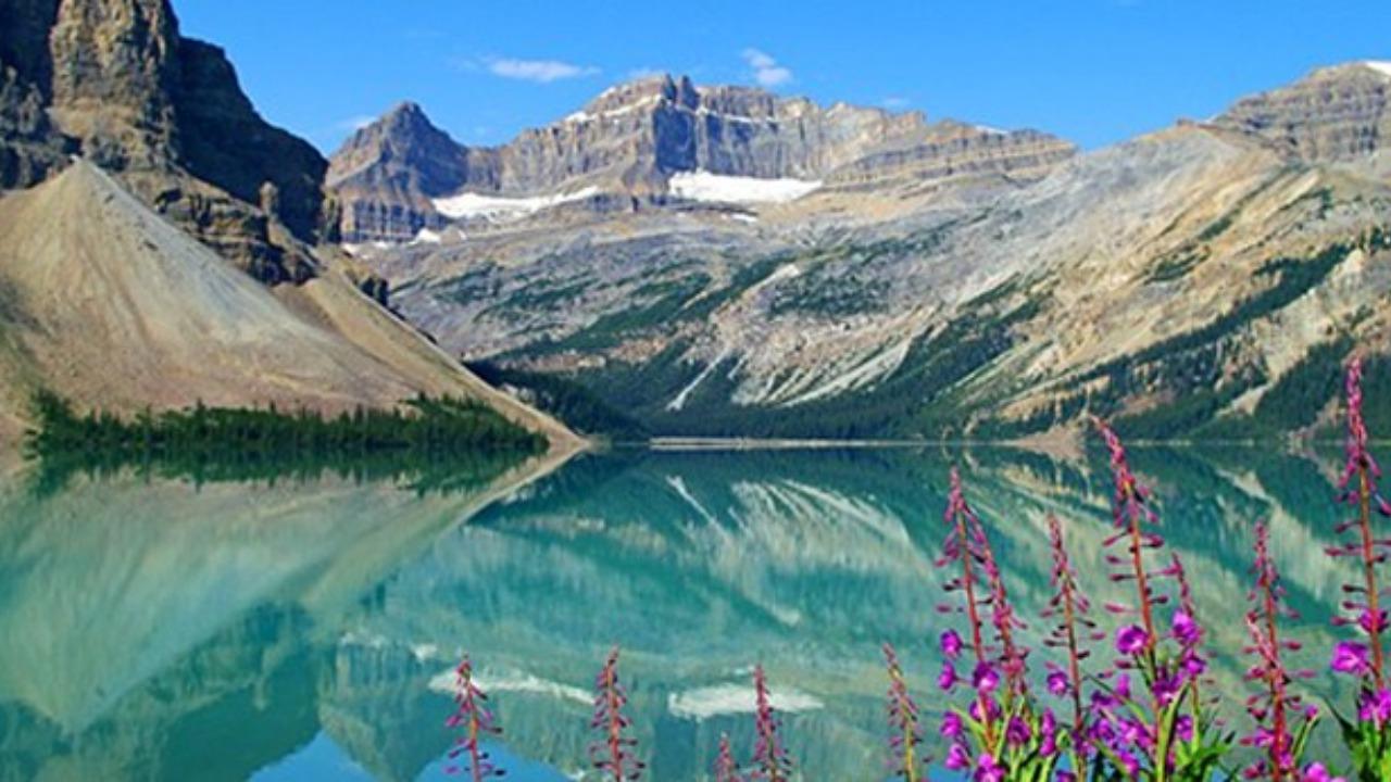 Icefields Parkway tour — Columbia Icefield, Peyto Lake and Bow Lake, Alberta — image 7