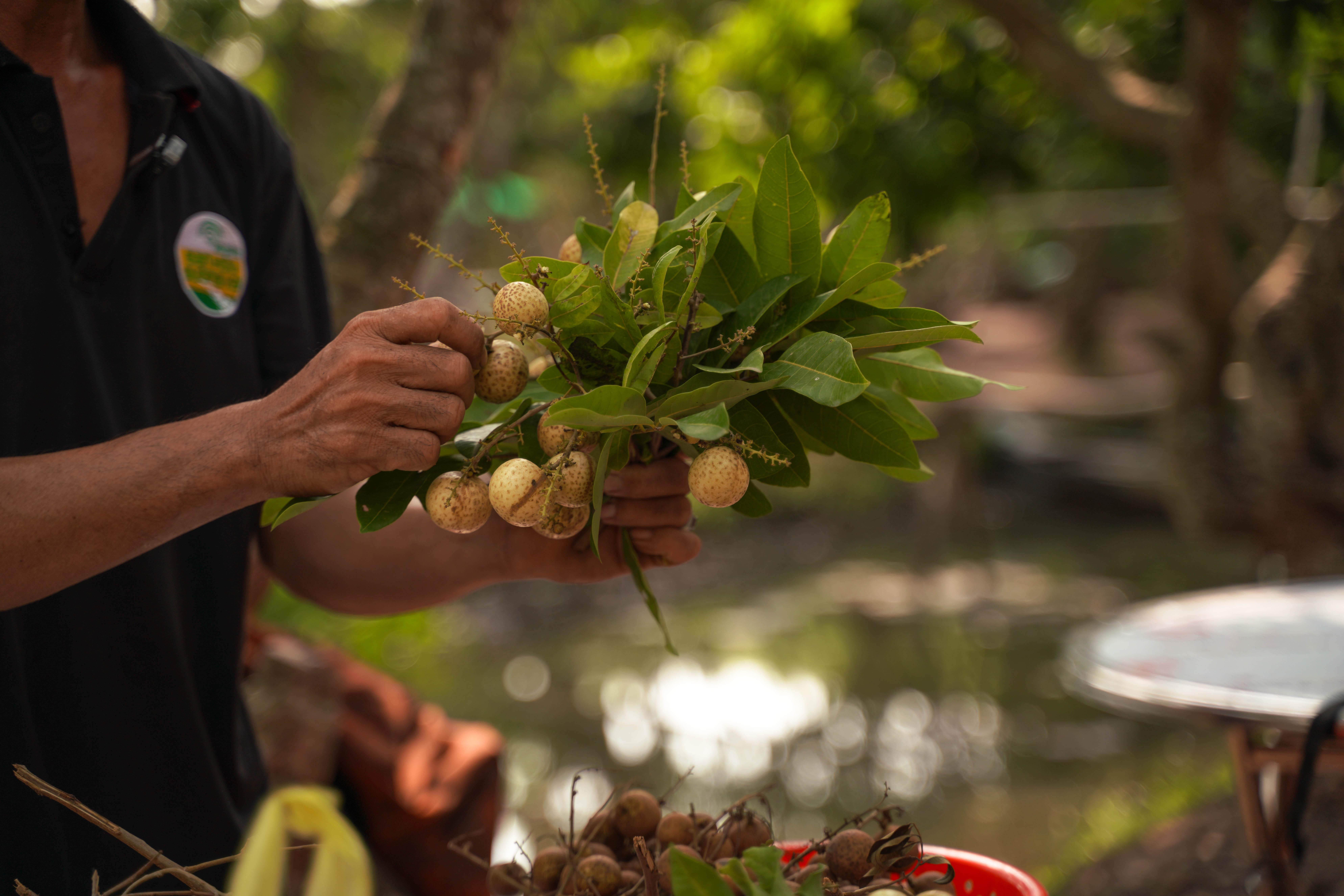 3-Day Mekong Delta Expedition: Ho Chi Minh to Phnom Penh