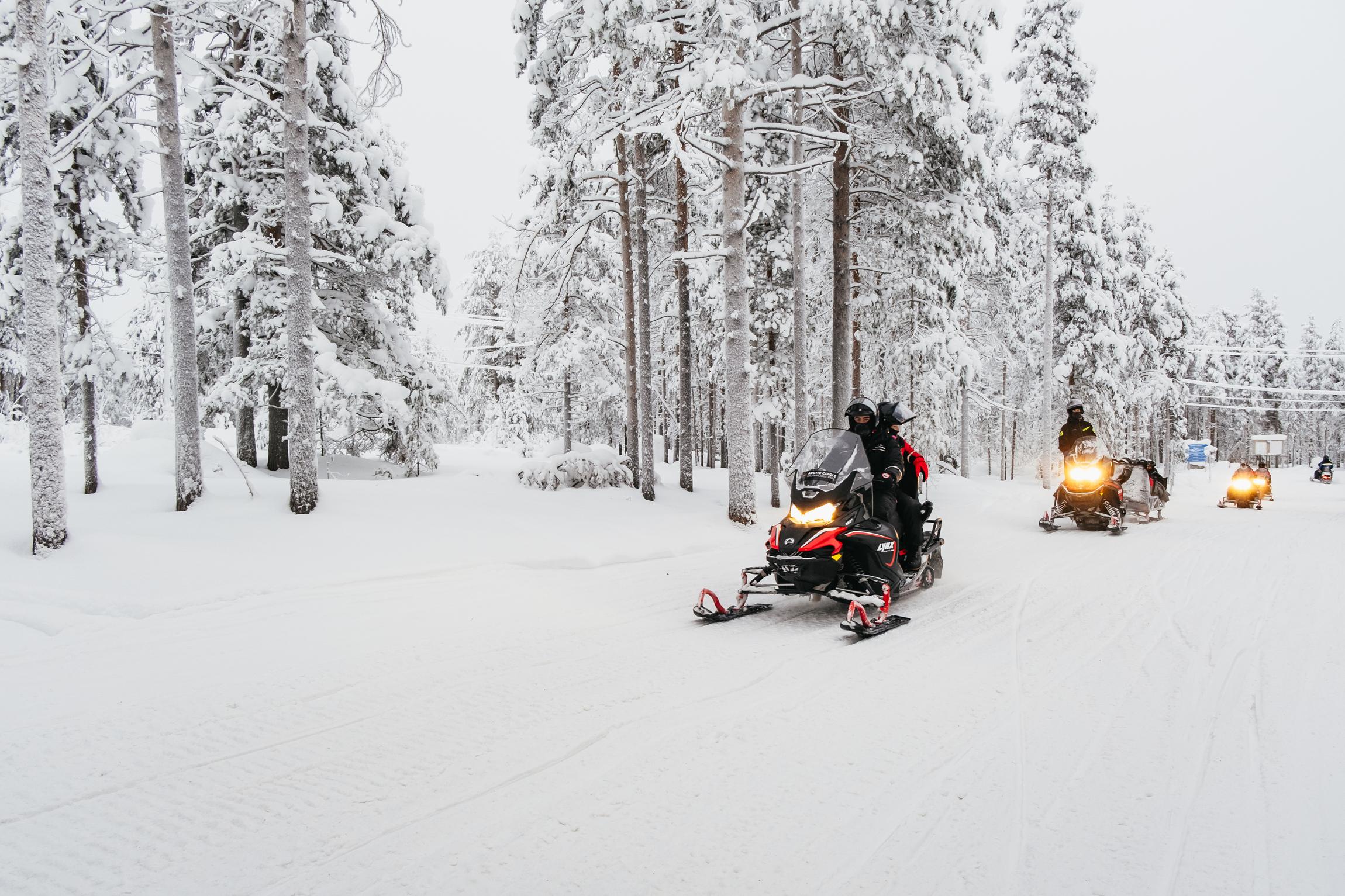 Rovaniemi Snowmobile Safari & Arctic Wildlife Day Tour