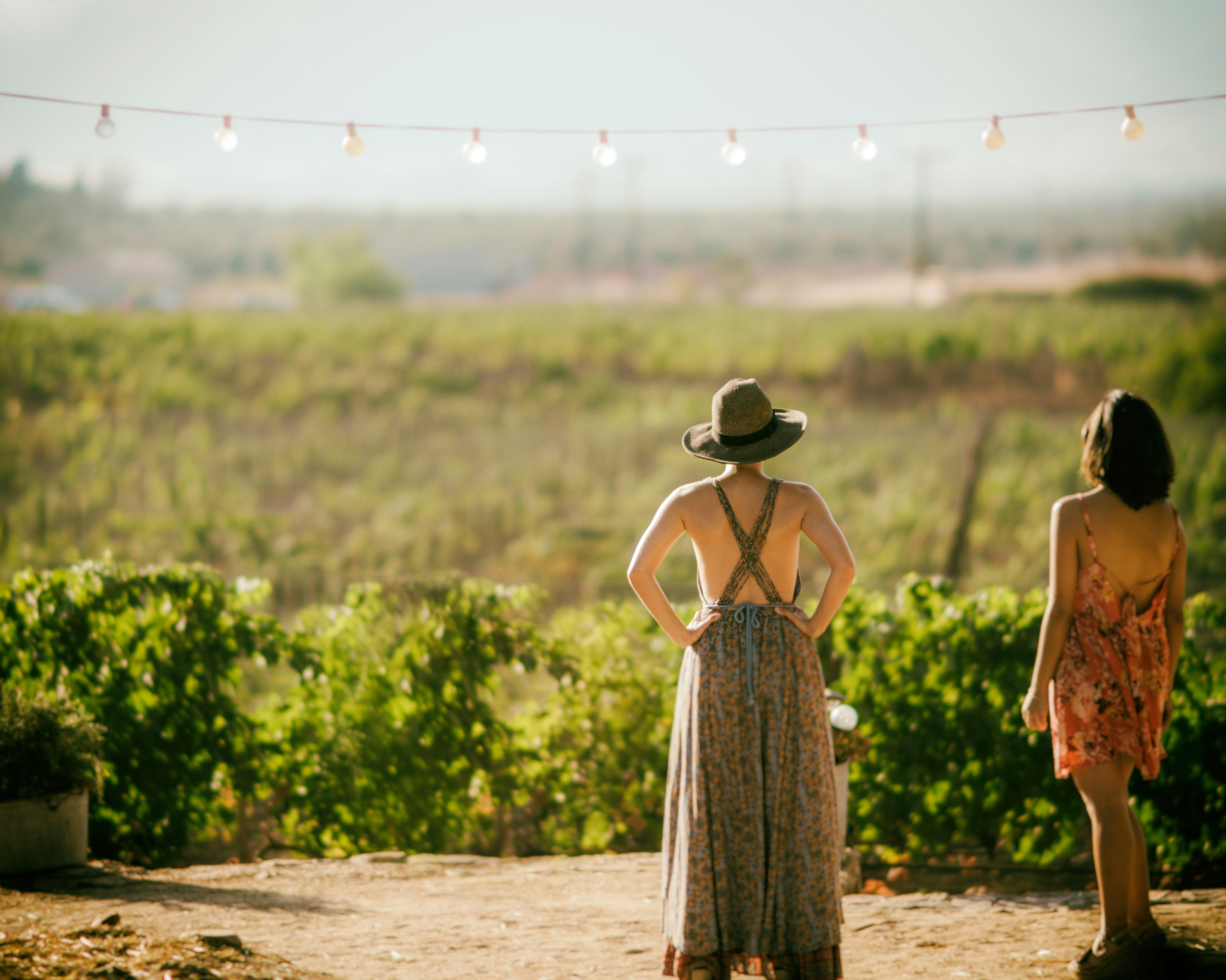 Private Luxury Wine Tour in Saint-Tropez and Provence