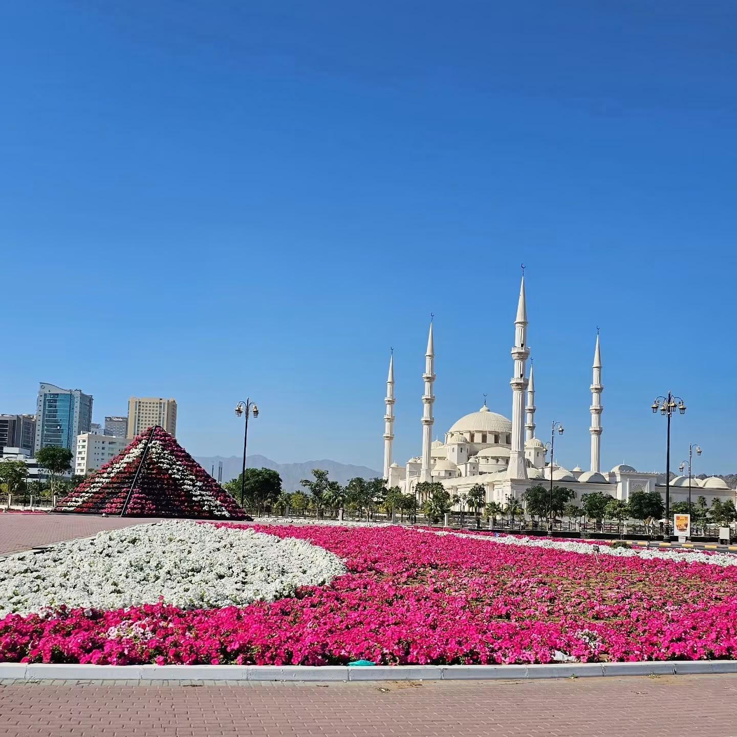 Fujairah Full-Day Heritage & Coast Tour from Dubai