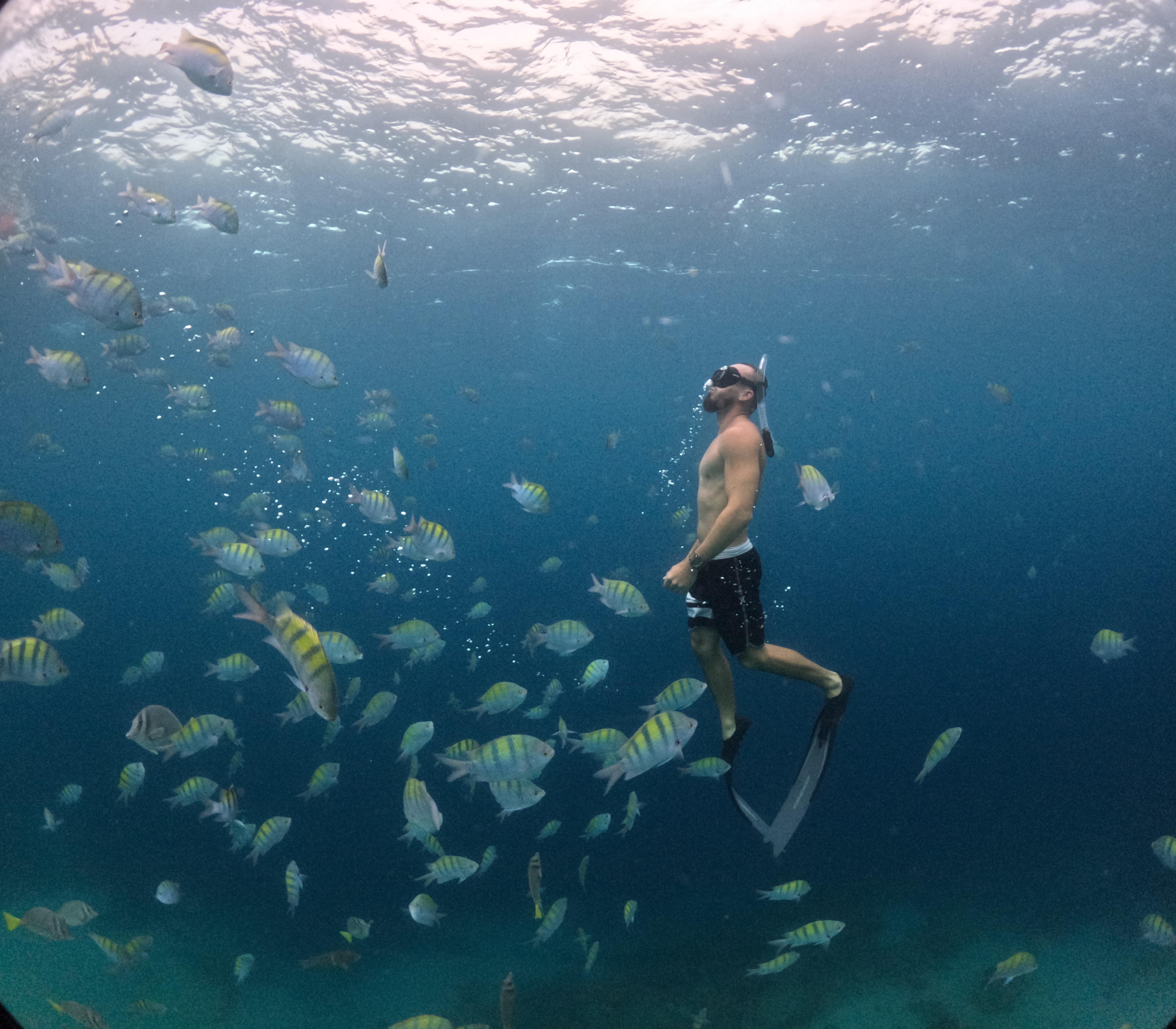 Los Cabos Land's End Boat Tour & Snorkeling Adventure