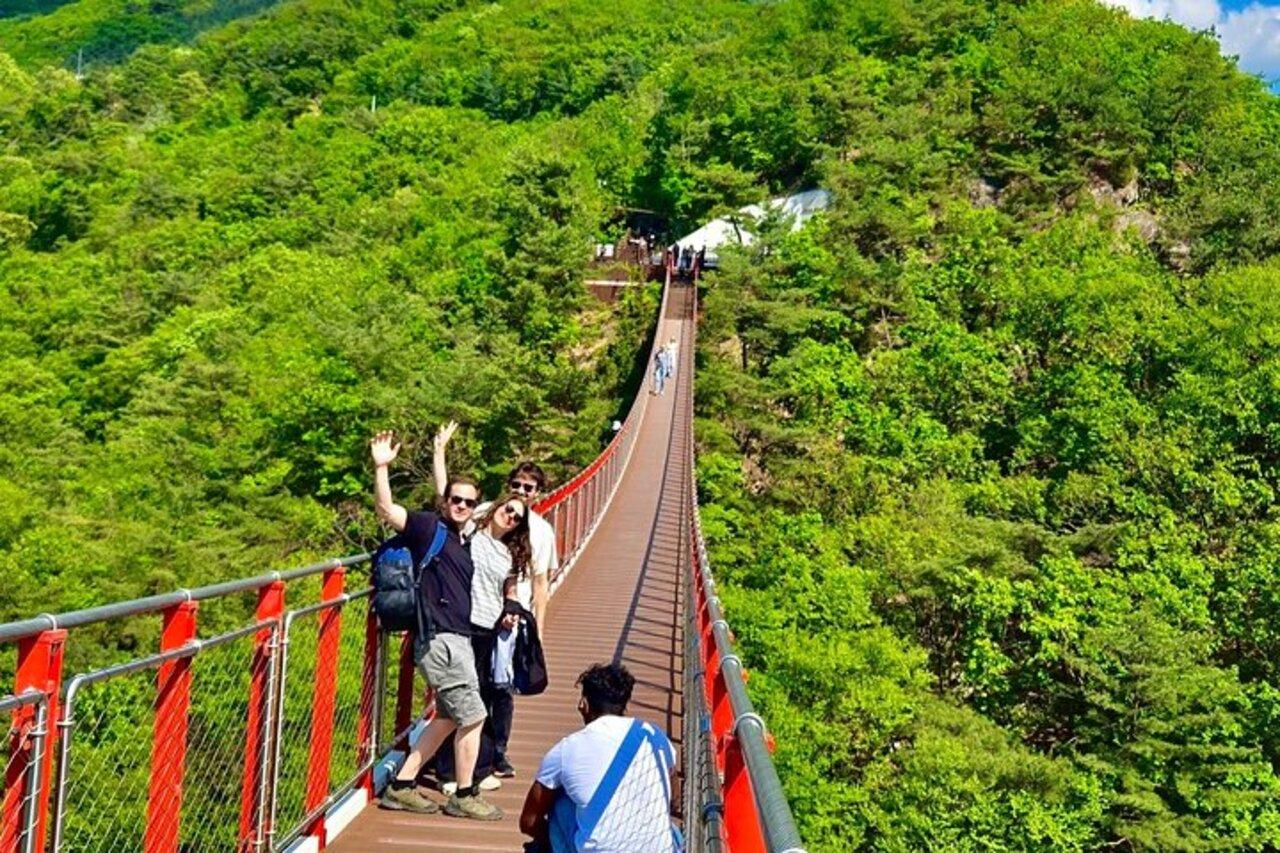 Seoul DMZ Day Tour: 3rd Tunnel, Dora Observatory & North Korean Defector Interview