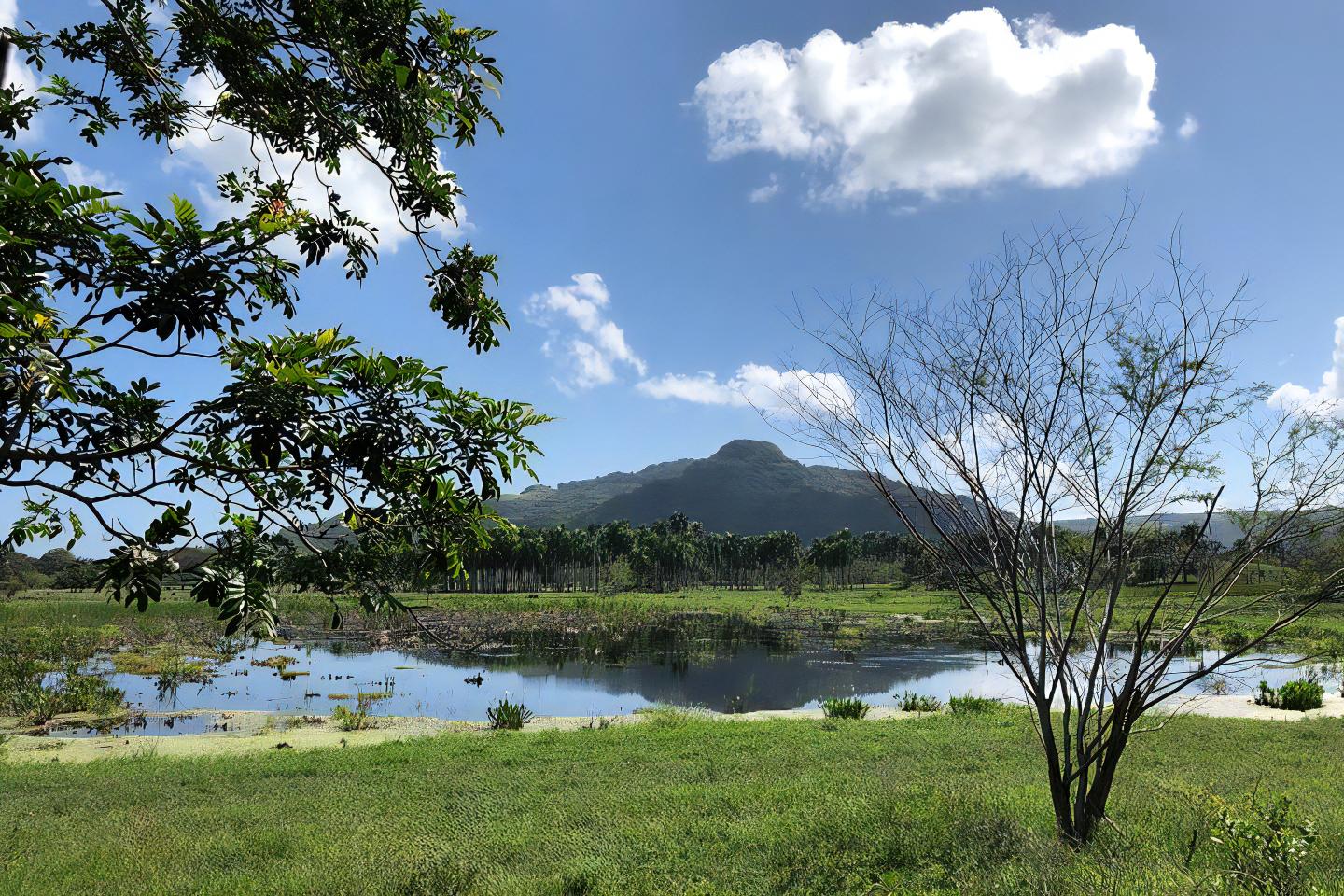 Puerto Plata ATV Countryside Expedition
