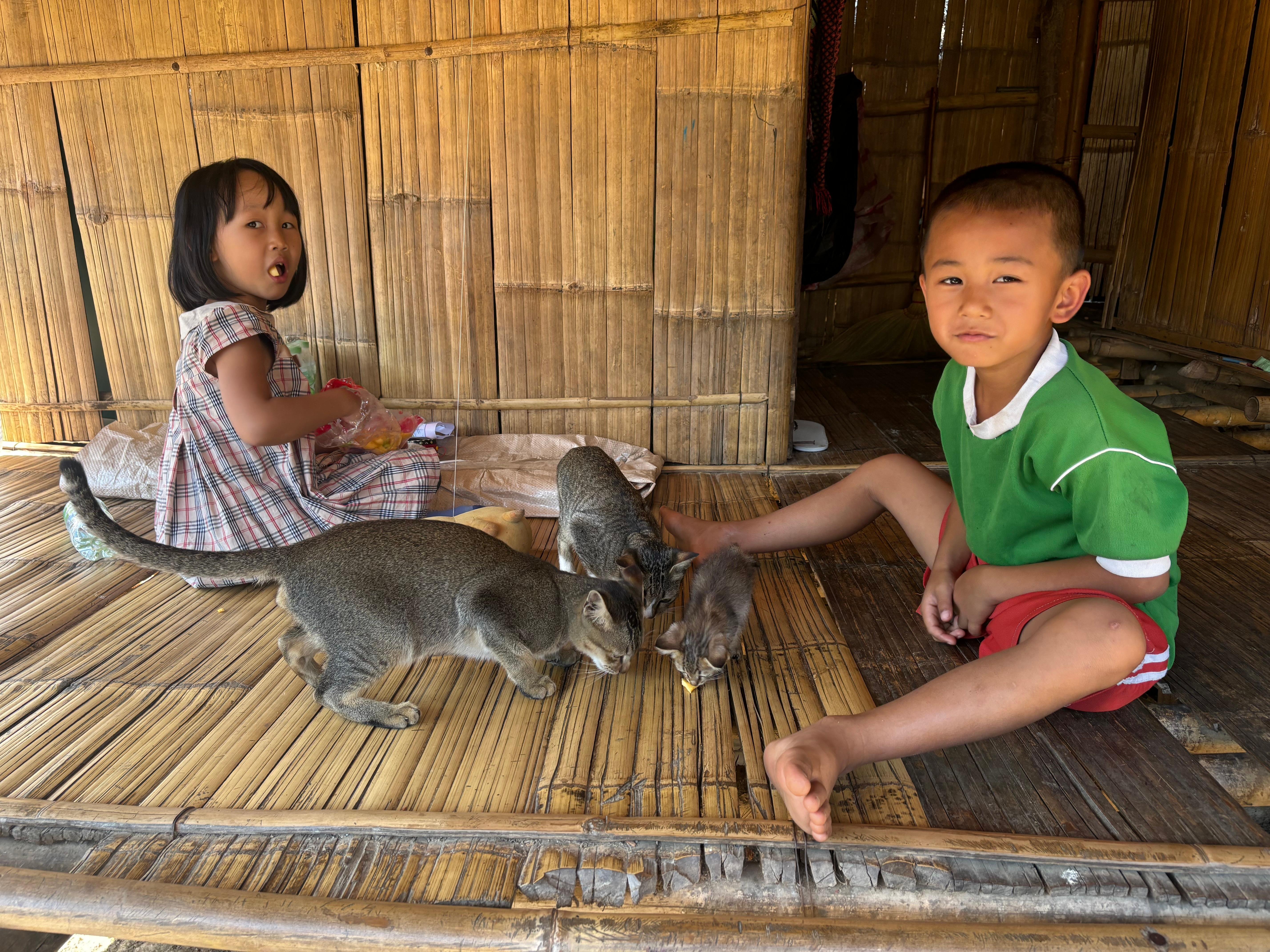 Chiang Rai: Golden Triangle & 7-Landmark Guided Day Tour