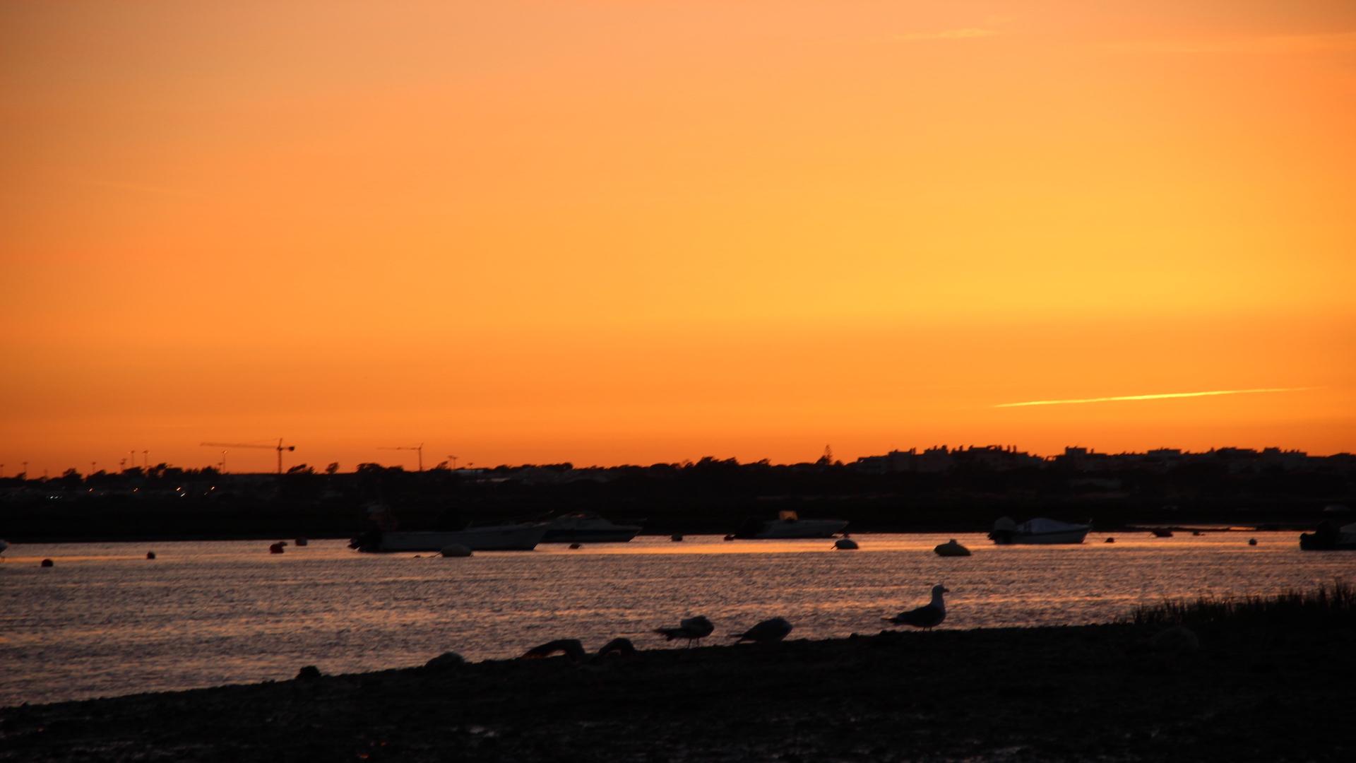 From Faro: Ria Formosa Sunset Boat Trip