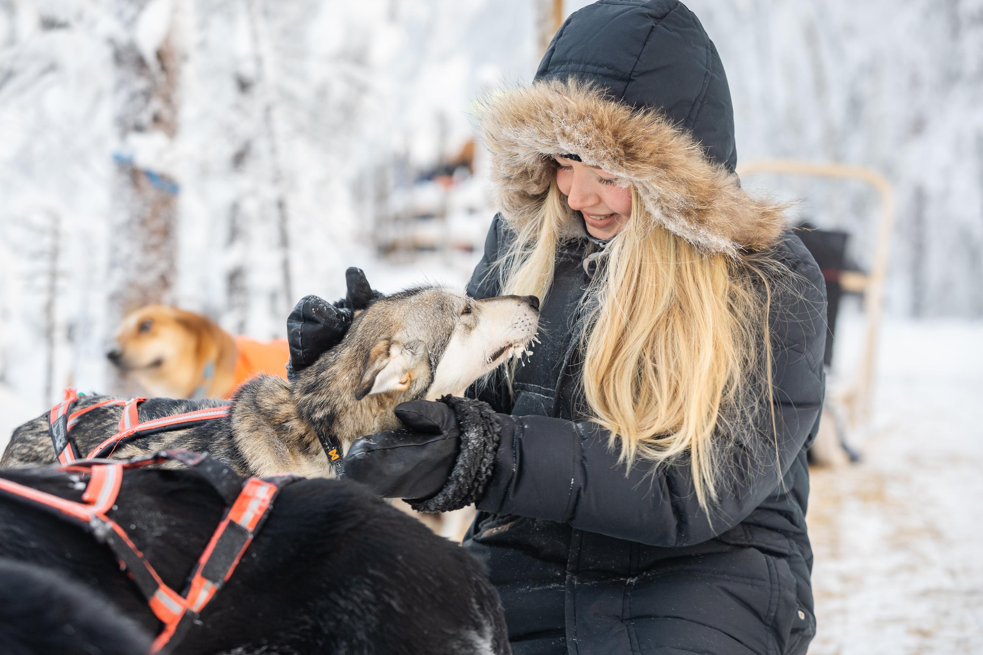 Rovaniemi Daytime Husky Safari