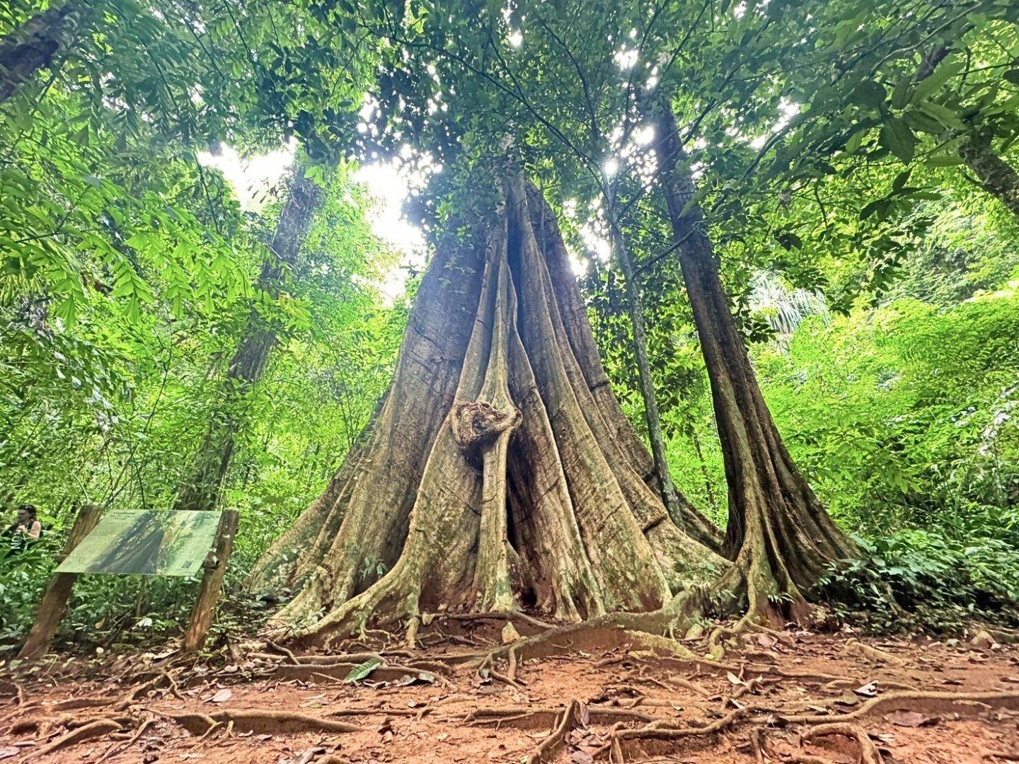 Krabi: James Bond Island Speedboat & Sea Cave Canoe Day Trip
