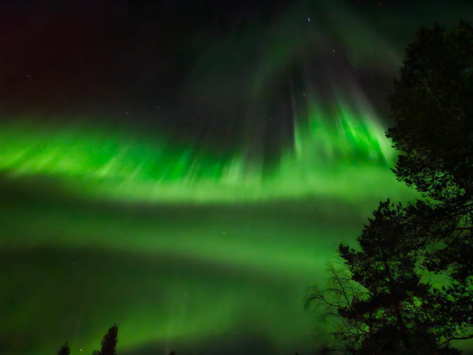 Rovaniemi Northern Lights Hunt with Lakeside BBQ