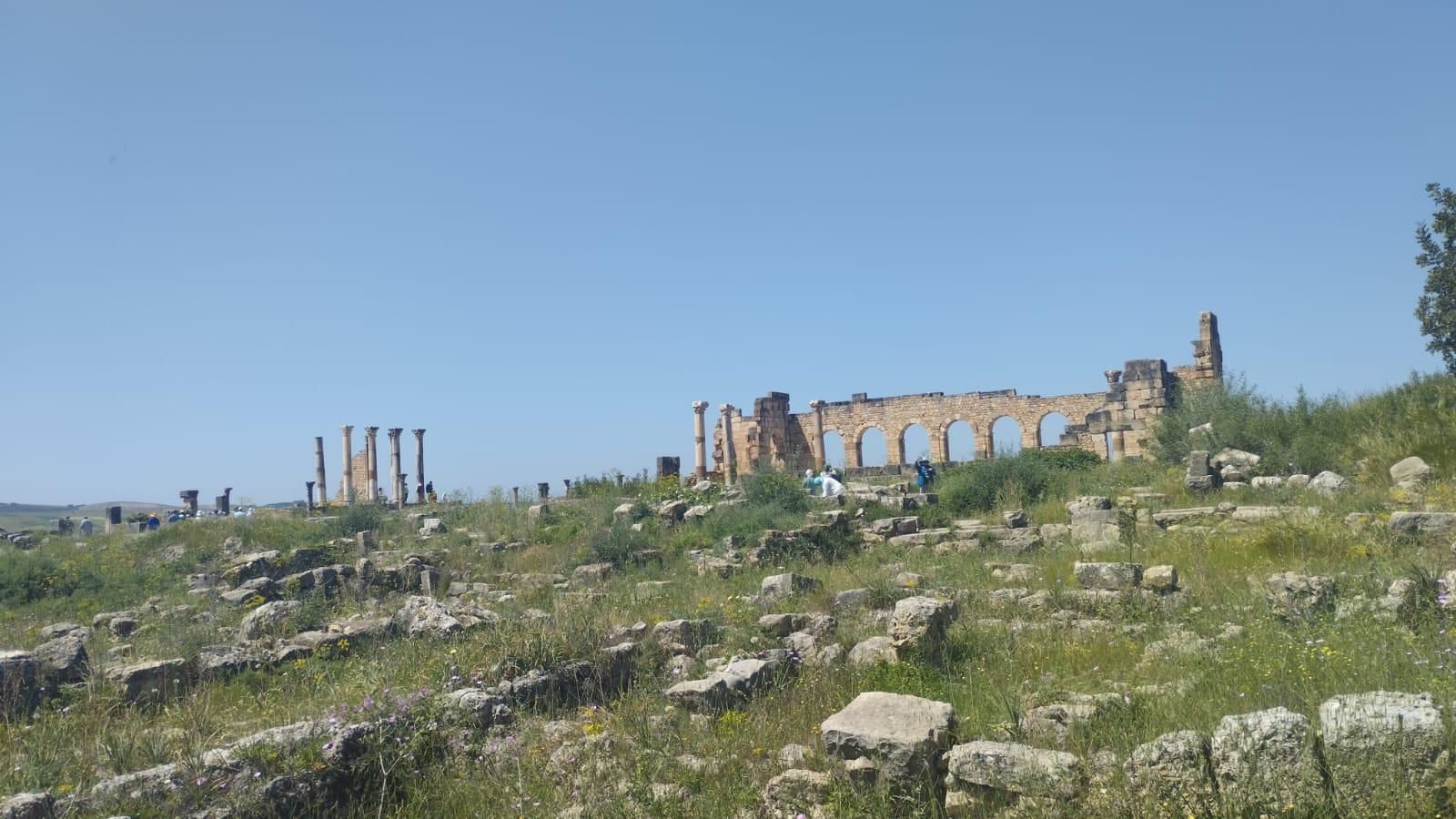 Fes Imperial Cities & Roman Ruins Day Trip