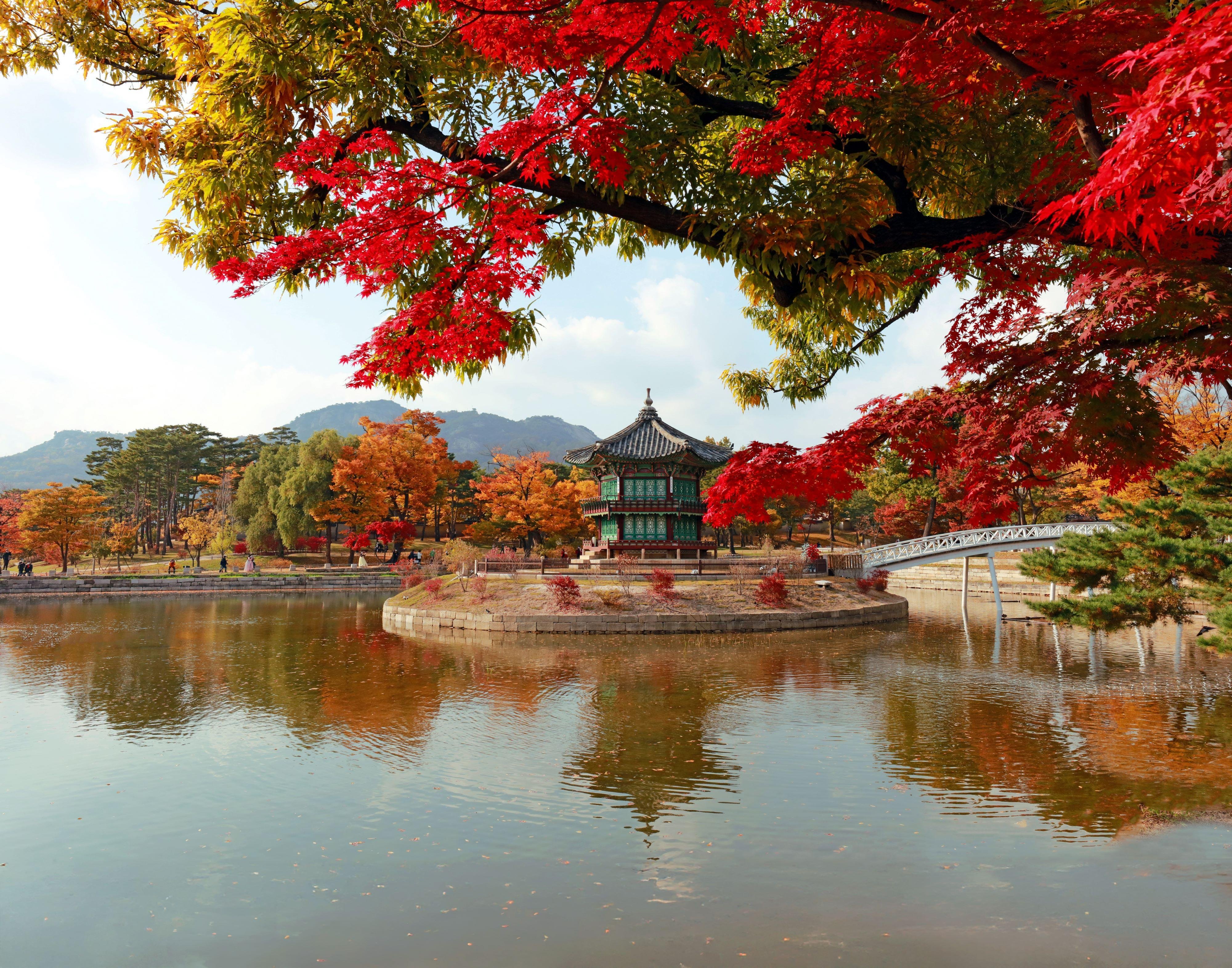 Seoul Highlights: Palaces, Markets & N Seoul Tower
