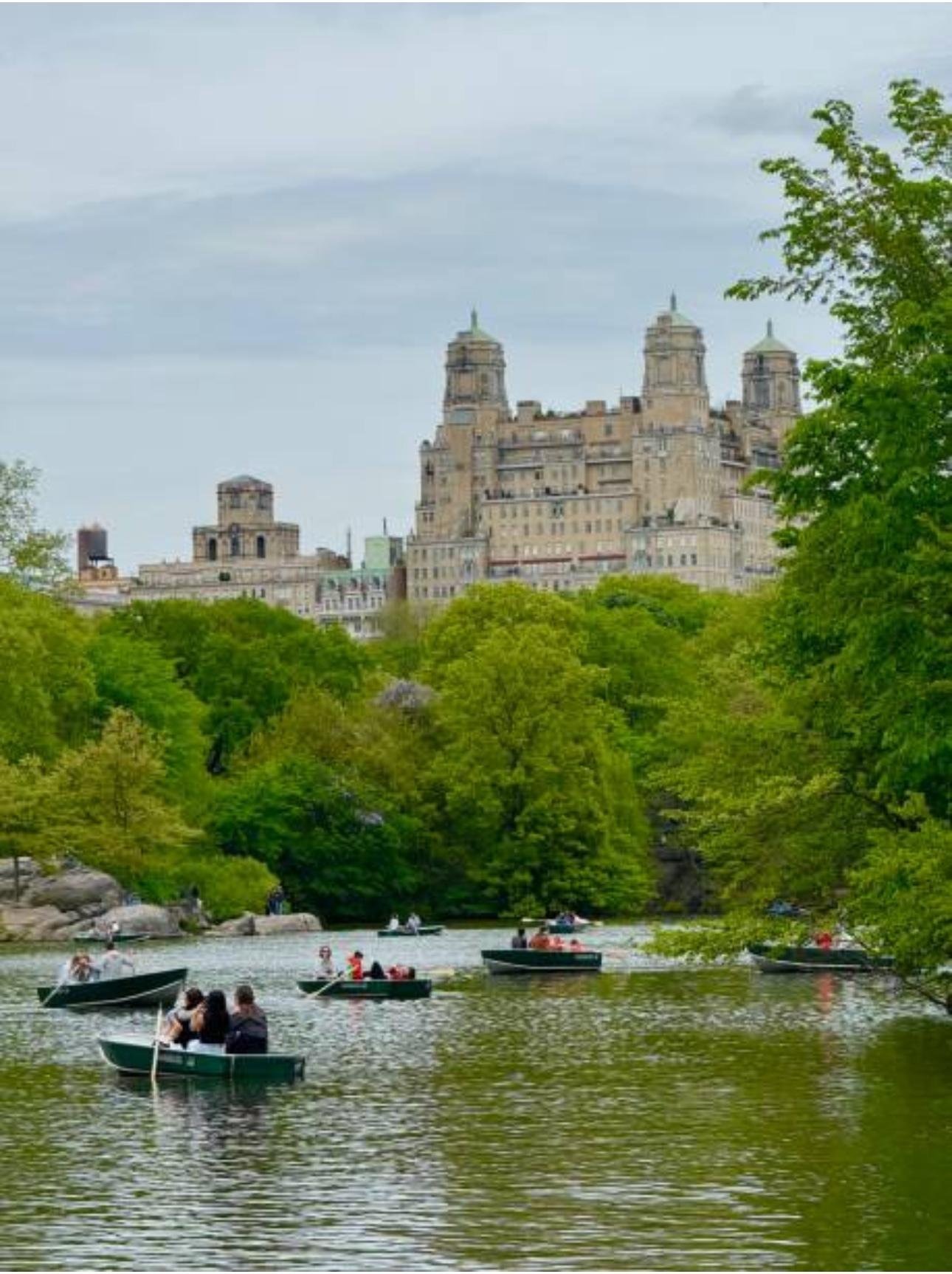 Private Central Park Horse Carriage Tour with Guide