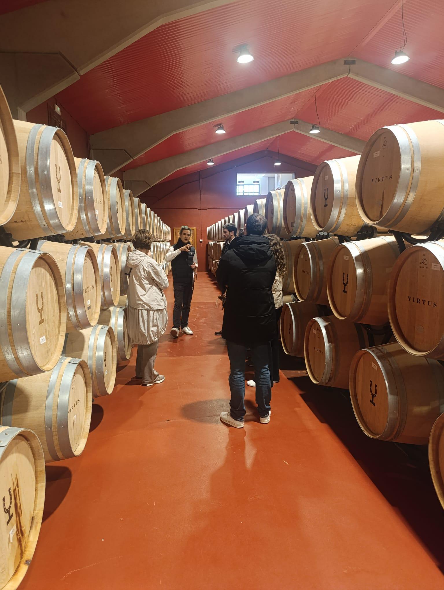 Ribera del Duero Wine Experience from Madrid