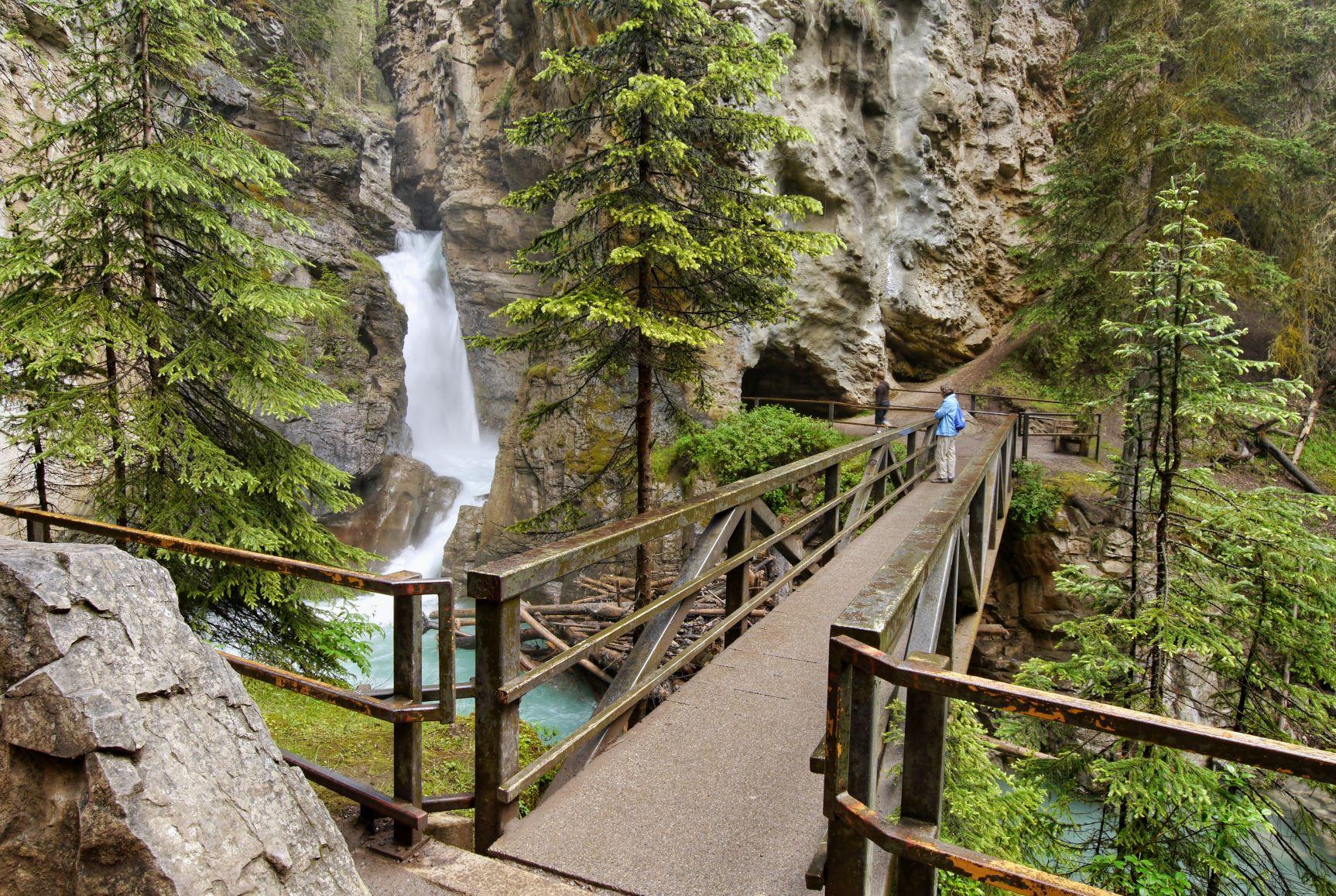 Johnston Canyon e-bike and walking tour — Bow Valley Parkway cycling, Banff (7)