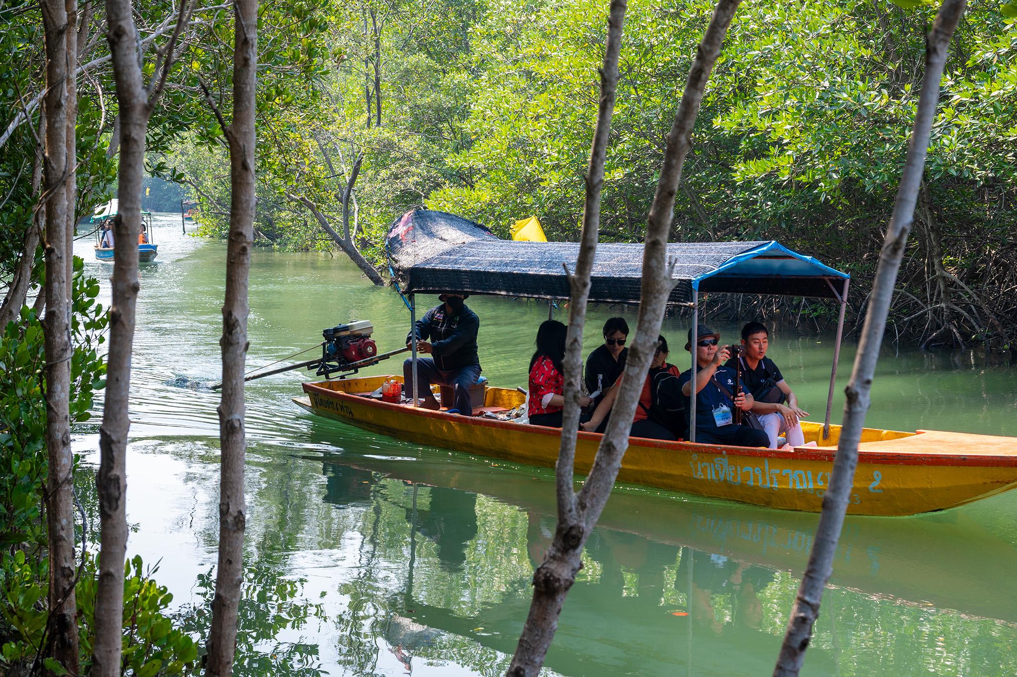 Pranburi Mangrove Forest and River Boat Experience