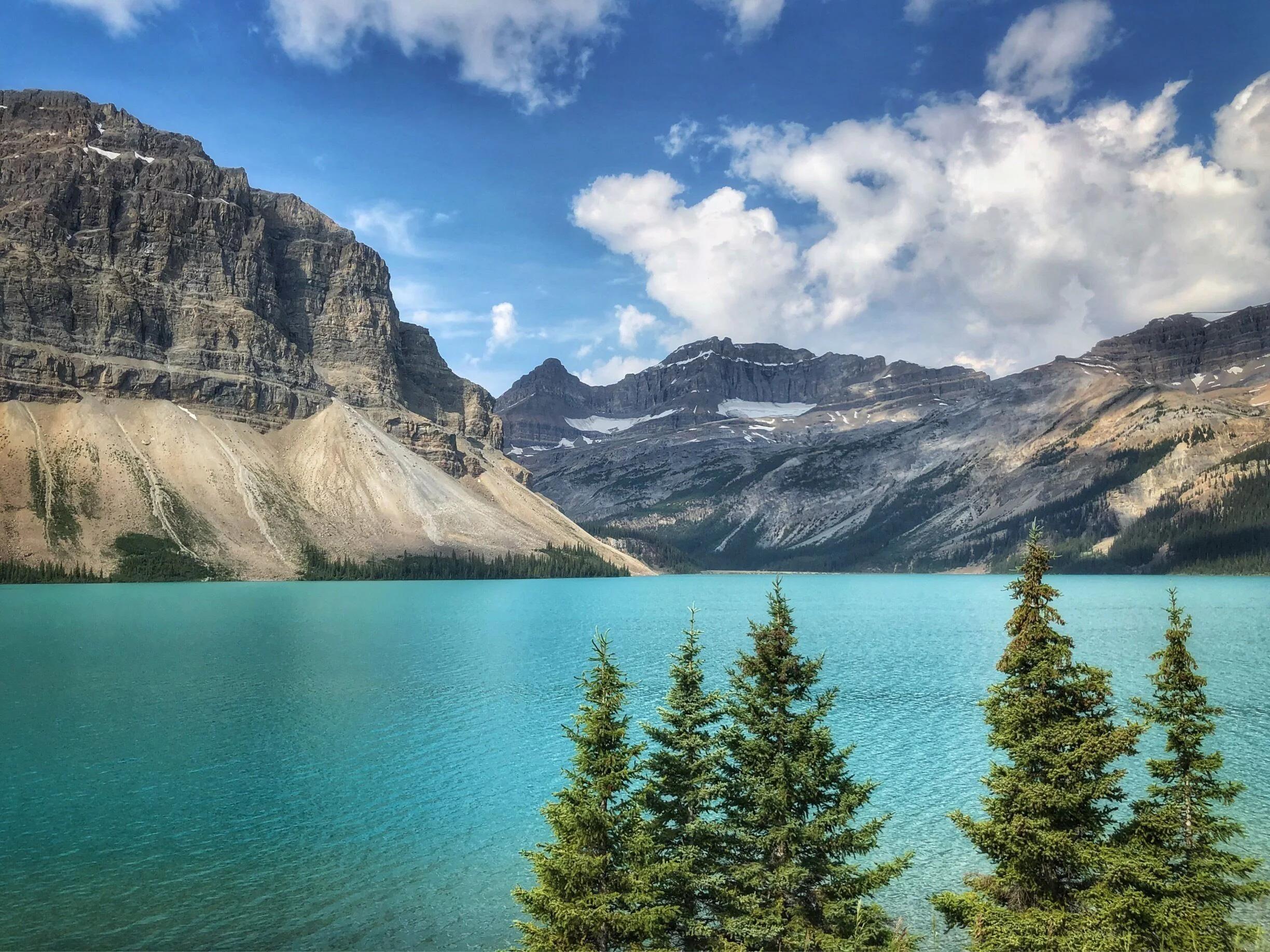 Wild Adventure to Jasper + Banff with picnic and drinks - 2026 (Verified Reviews)