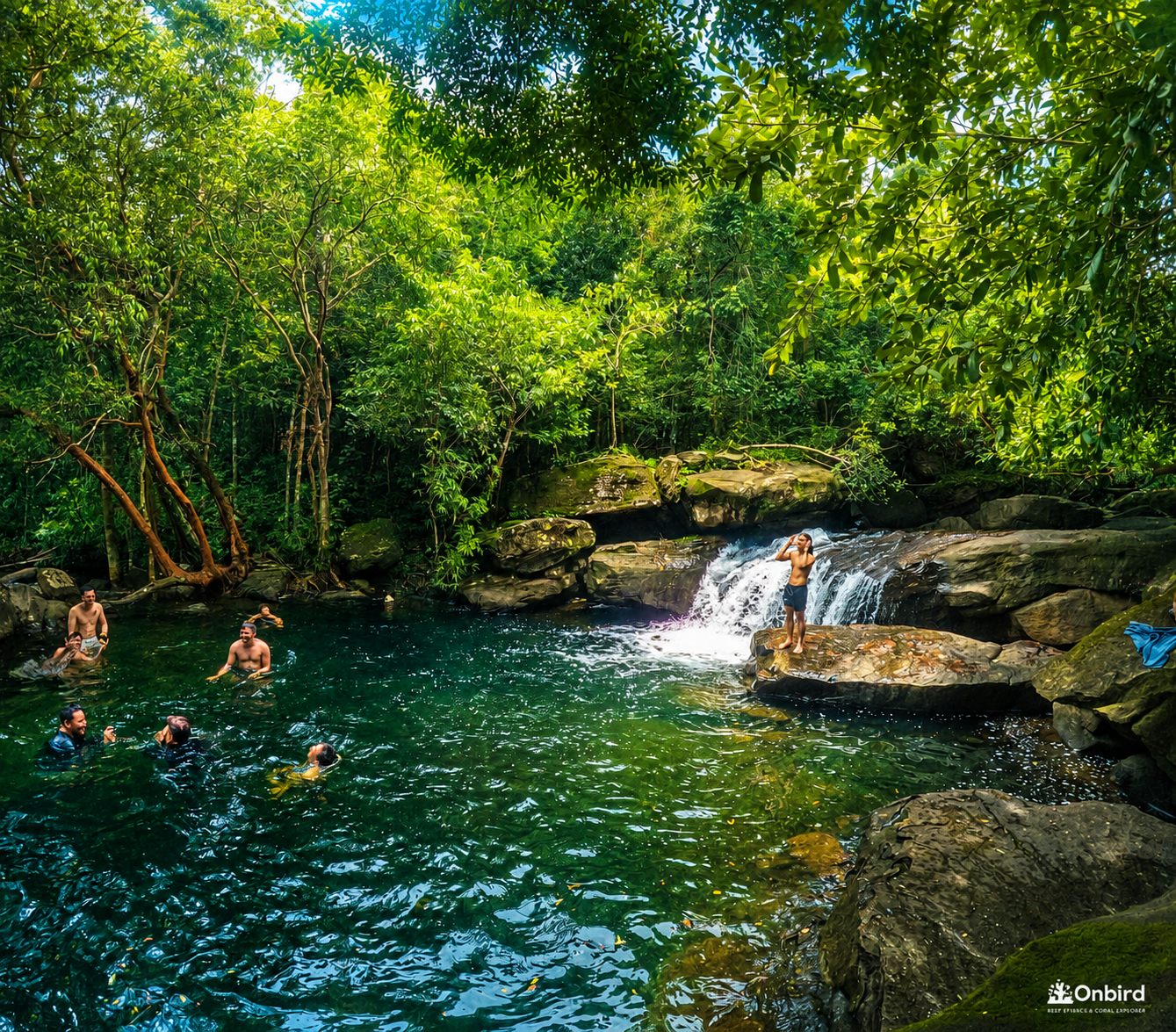 Phu Quoc National Park Fairy Stream Trek