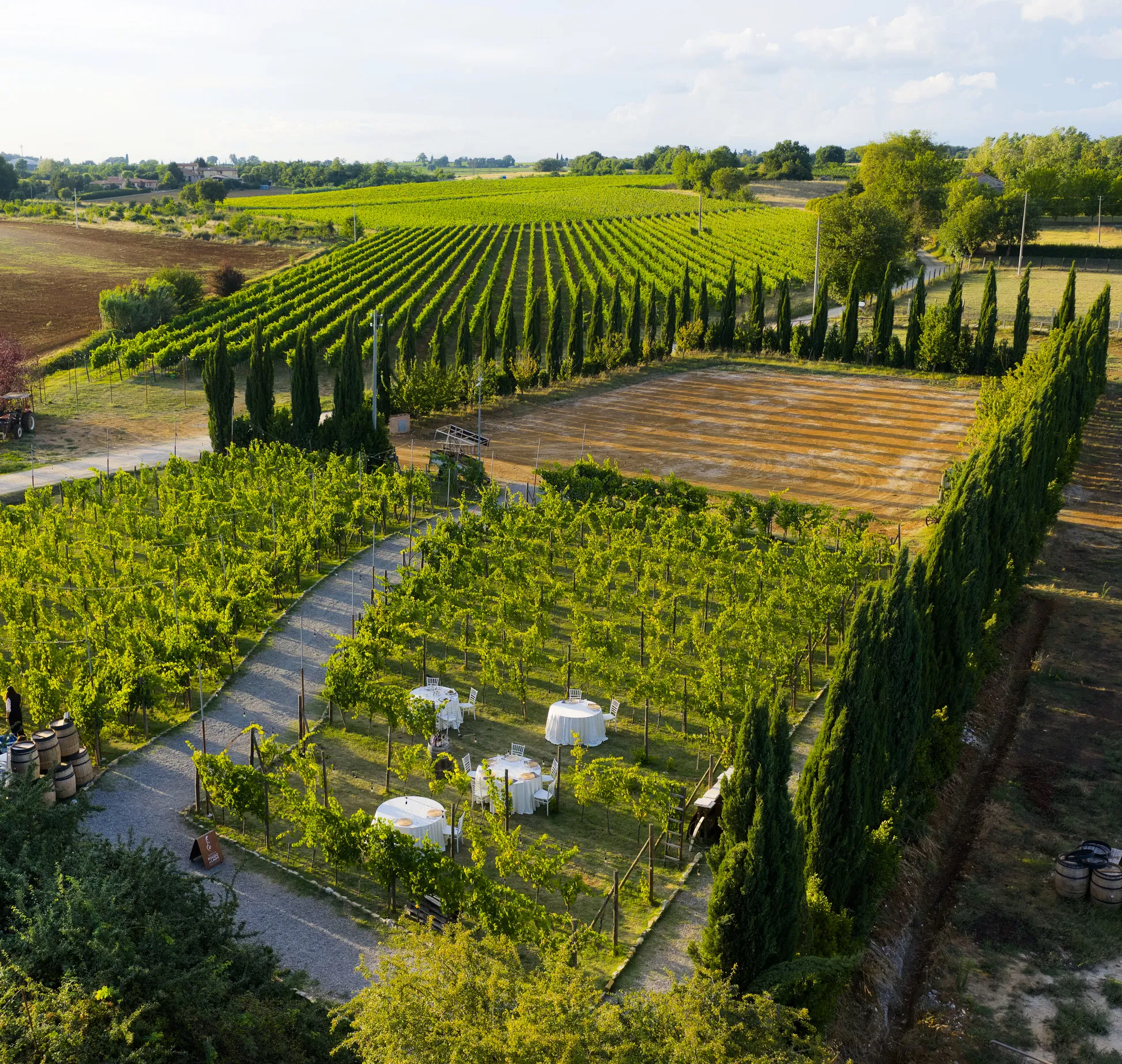Sunset Wine Dinner in the Vineyards