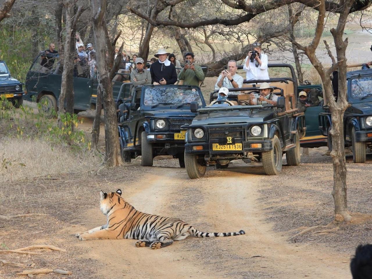 2-Day Ranthambore Tiger Safari from Delhi