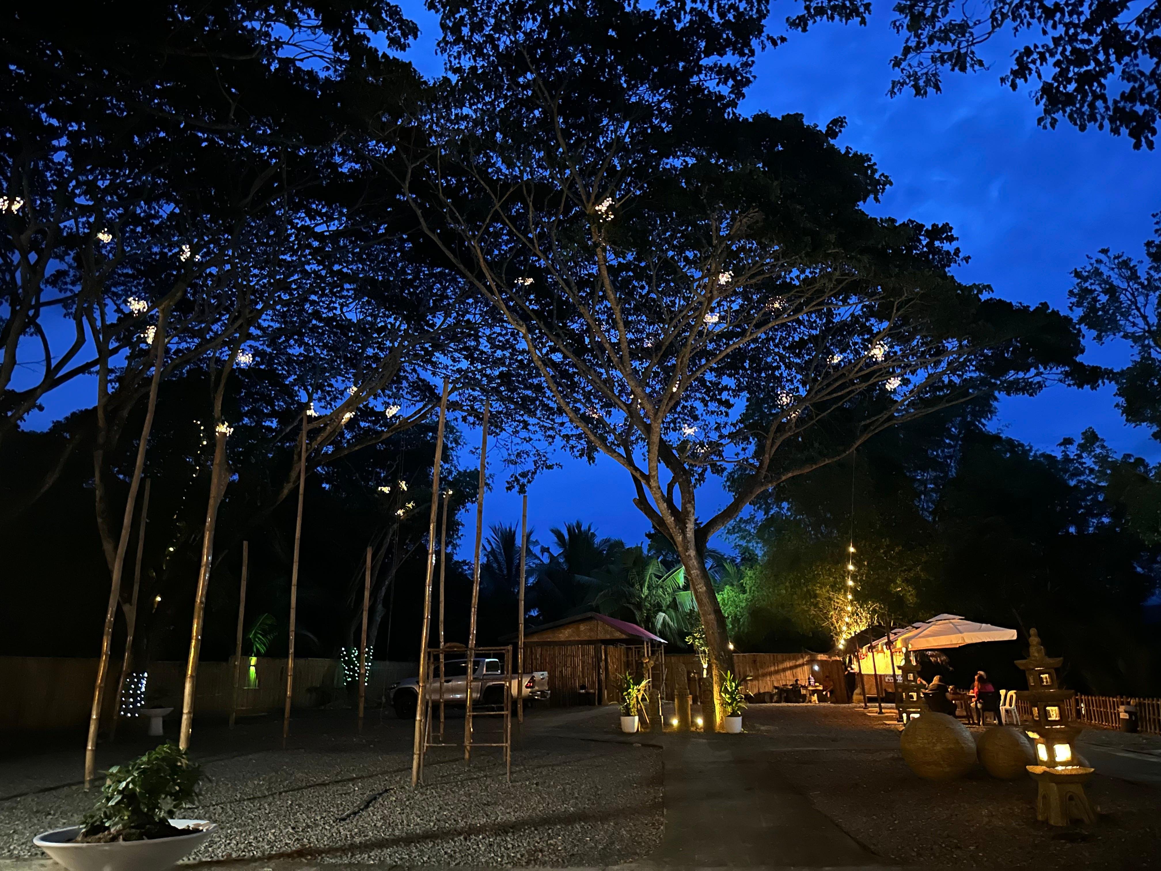 Iwahig River Firefly Watching Cruise from Puerto Princesa