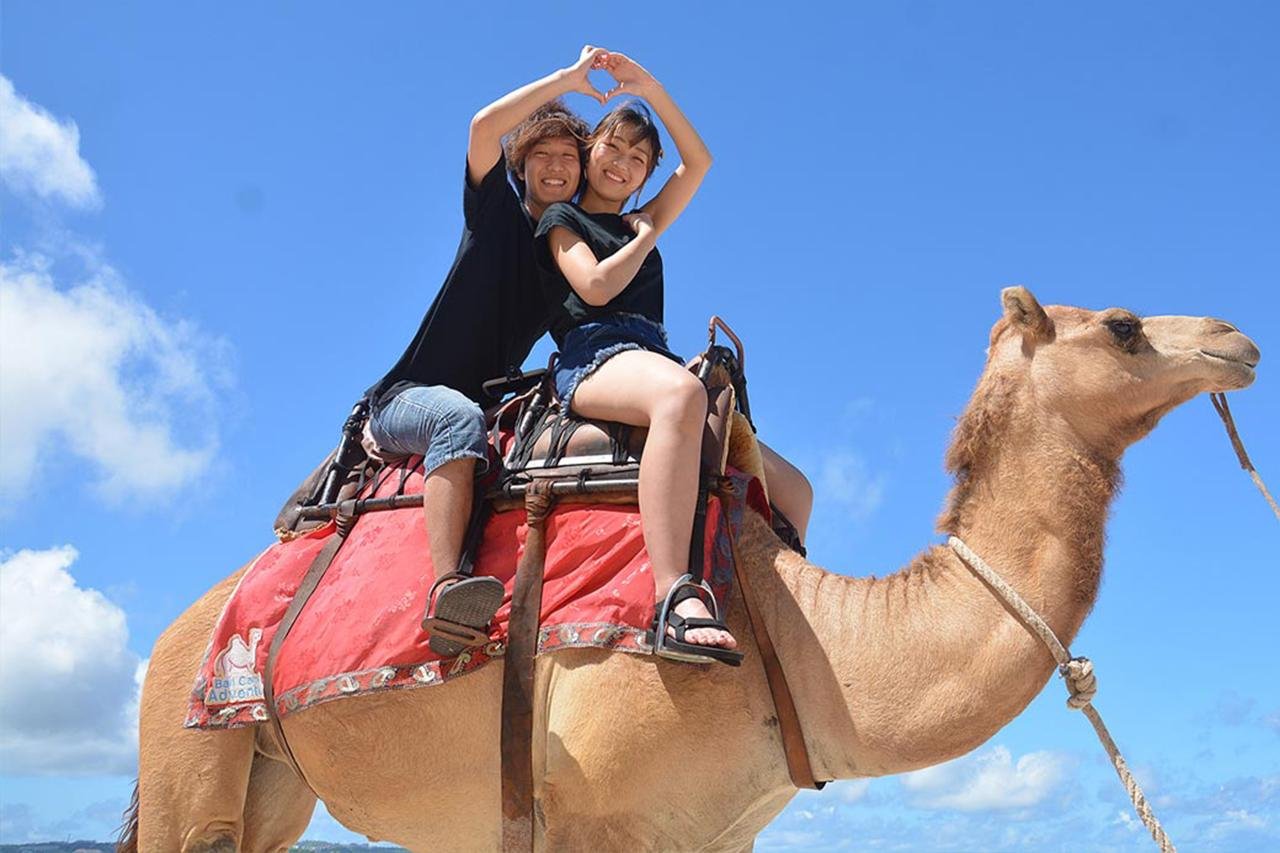 Agadir Private Medina Tour & Camel Expedition