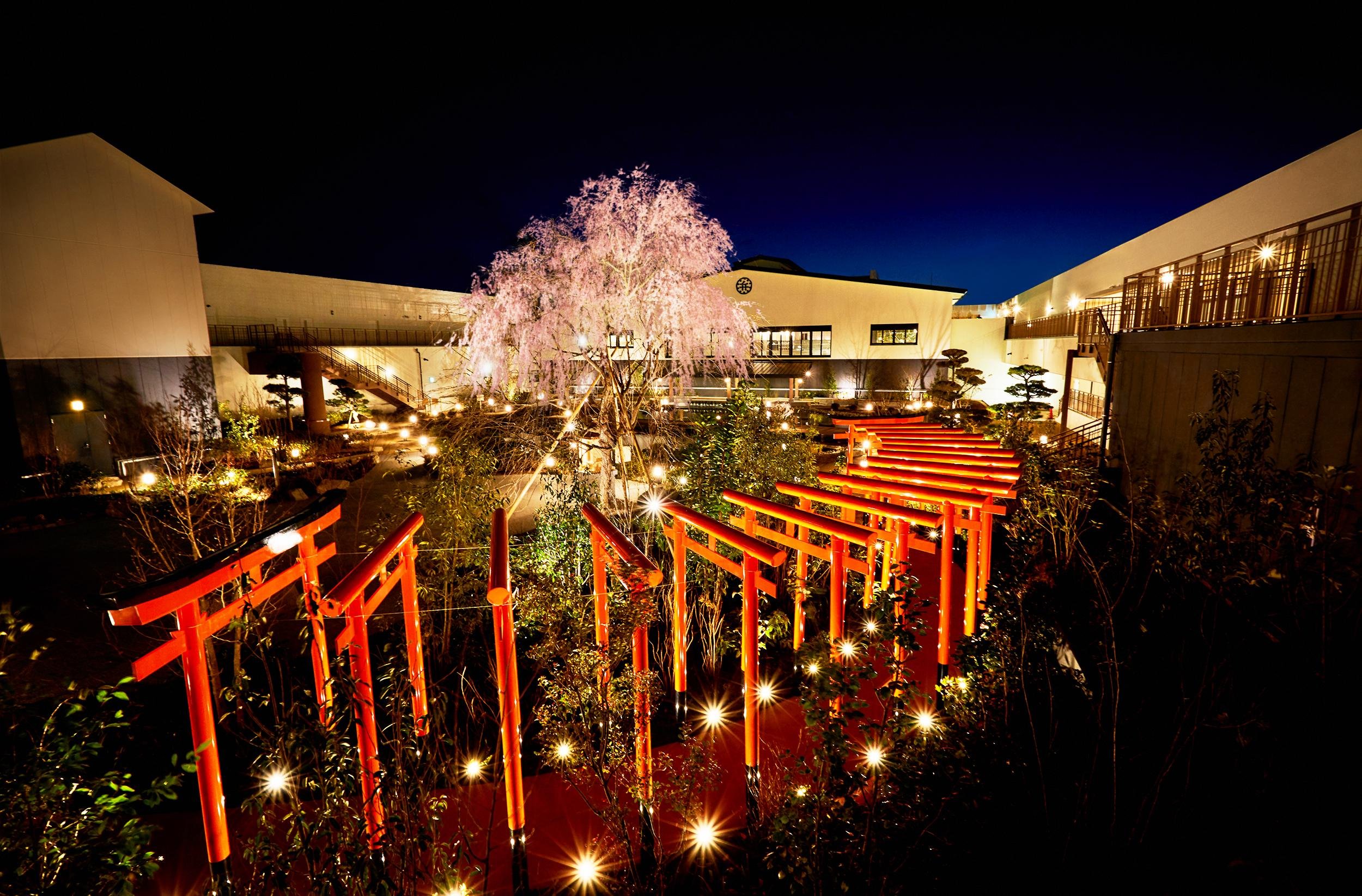 Osaka: Solaniwa Onsen Hot Spring Visit