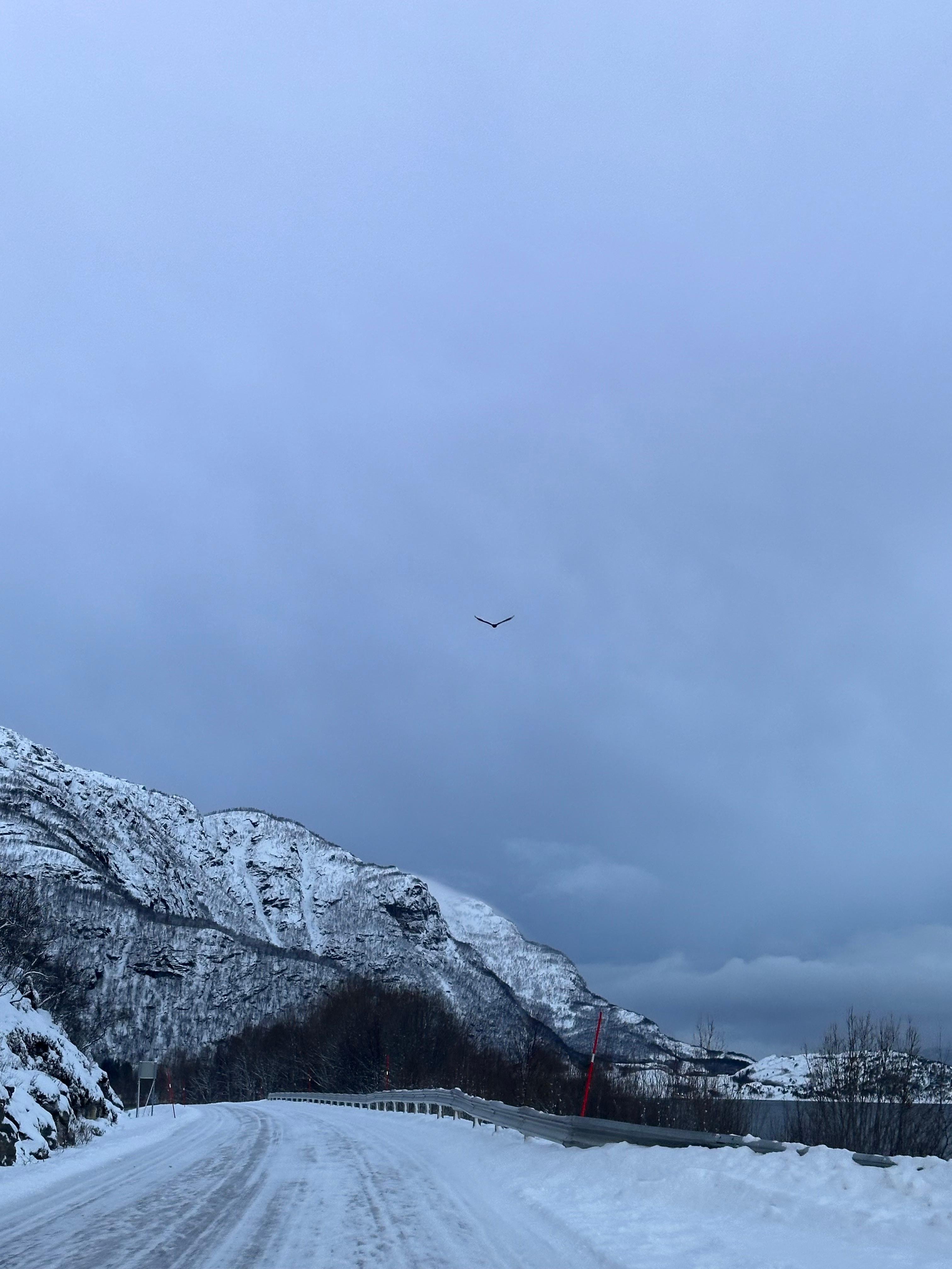Fjord Discovery Tour with Reindeer Farm Visit