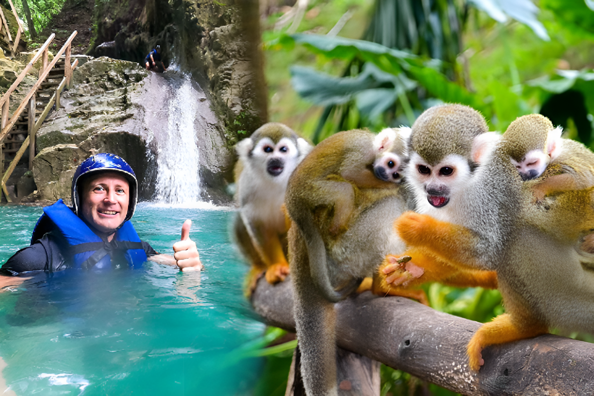 Monkey Sanctuary & Damajagua Waterfalls Half-Day Tour