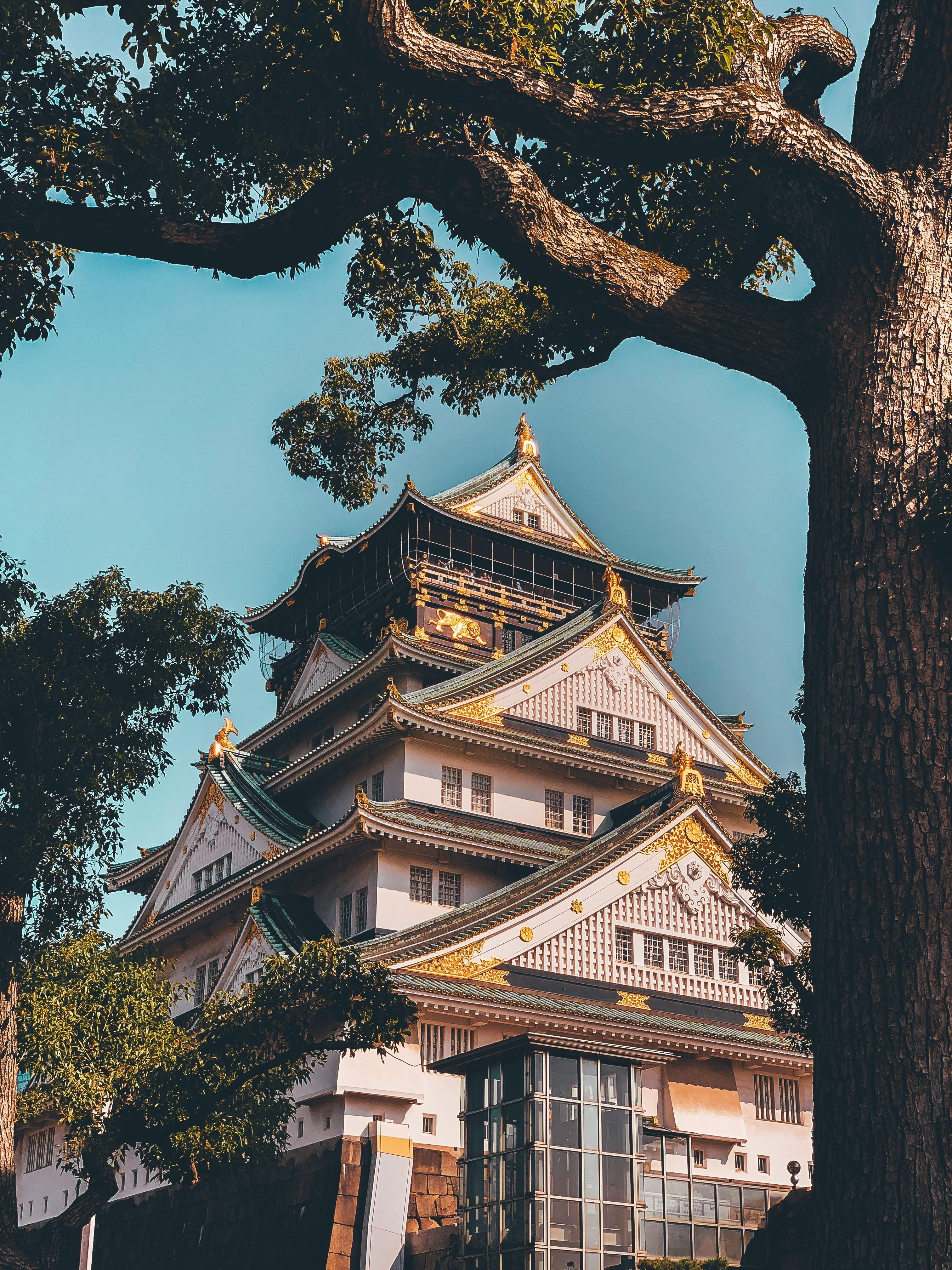 Osaka Custom Private Tour by Luxury Vehicle