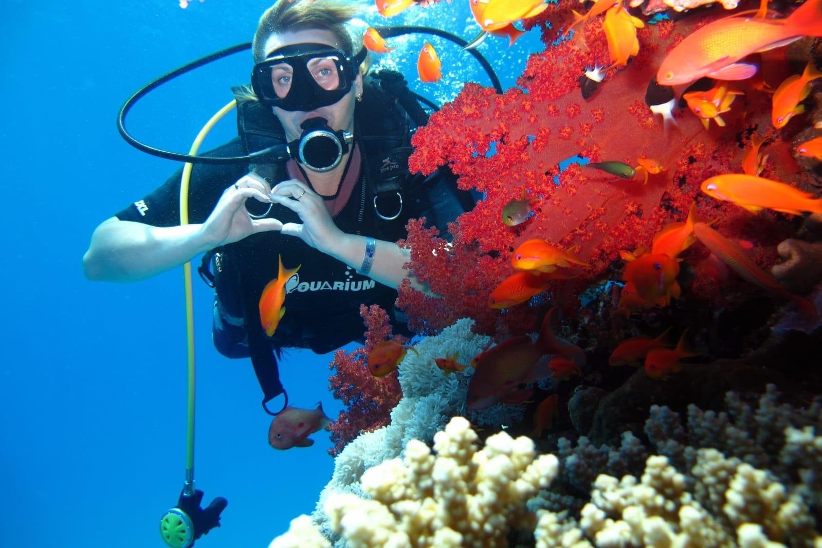 Sharm El Sheikh: White Island & Ras Mohamed Full-Day Sailing Adventure