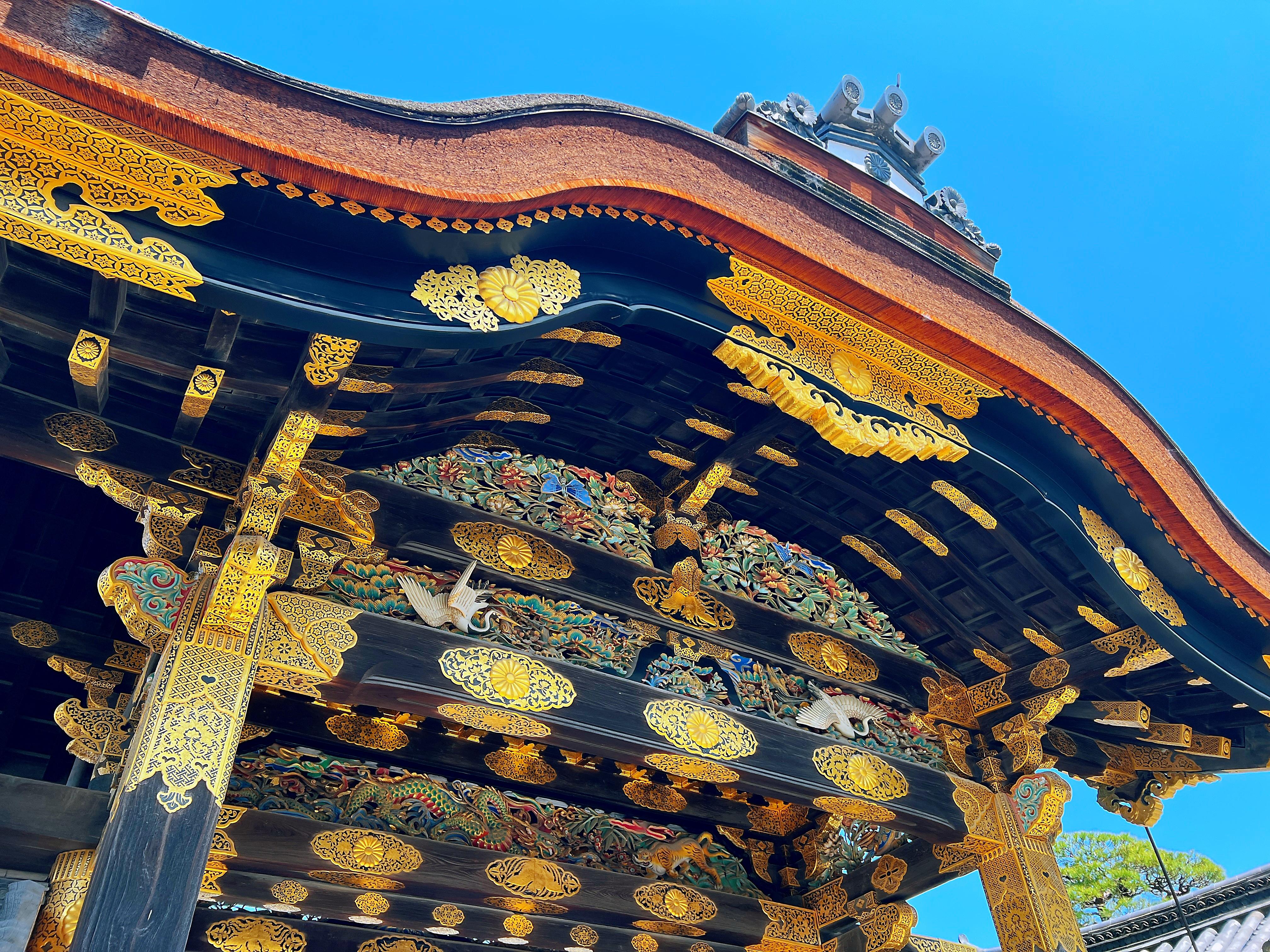 Kyoto Nijo-jo Castle: Private Samurai & Shogun History Tour