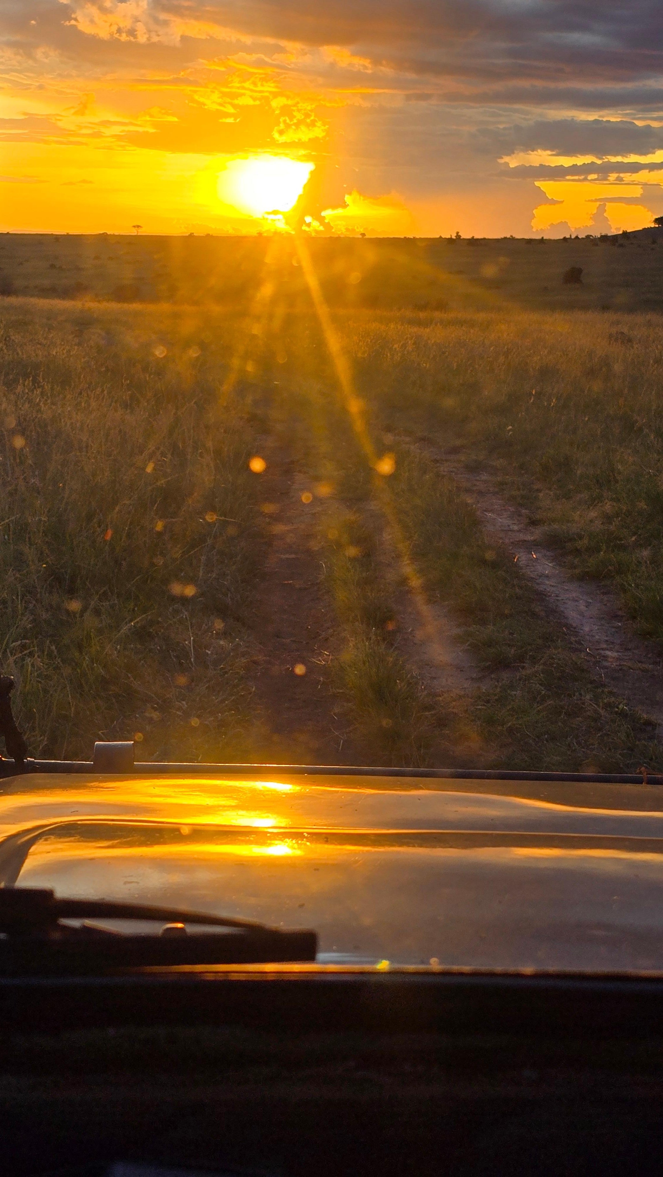 3-Day Maasai Mara Safari by 4WD Landcruiser from Nairobi