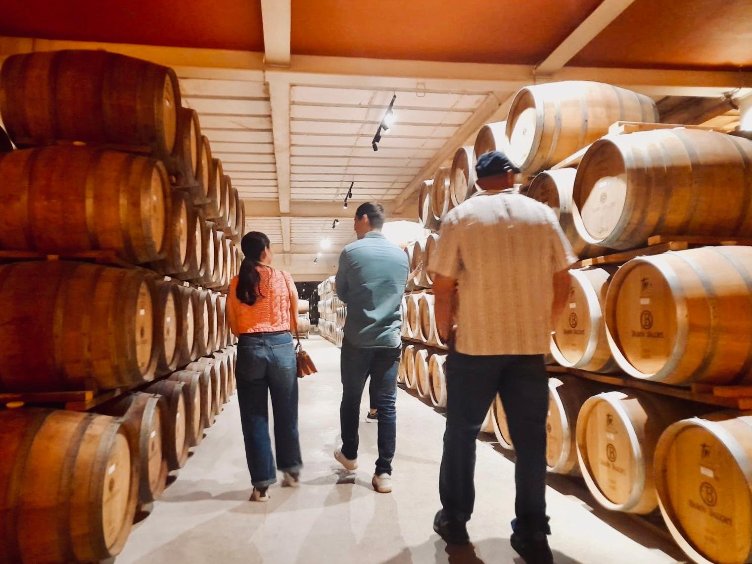 wine tour in Valle de Guadalupe — photo 39