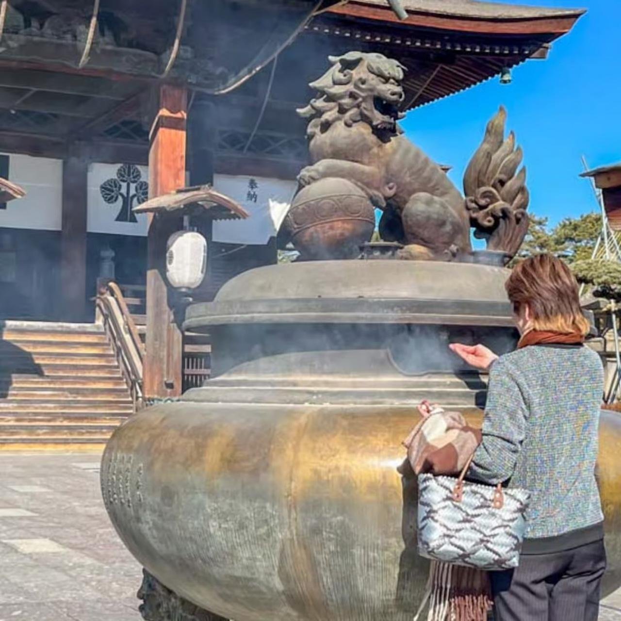 Nagano Snow Monkey Private Day Tour from Tokyo