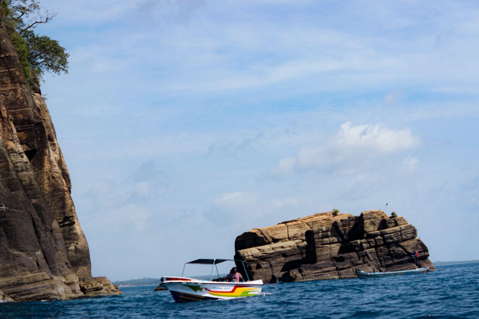 Trincomalee Sunrise Whale & Dolphin Watching Speedboat Tour