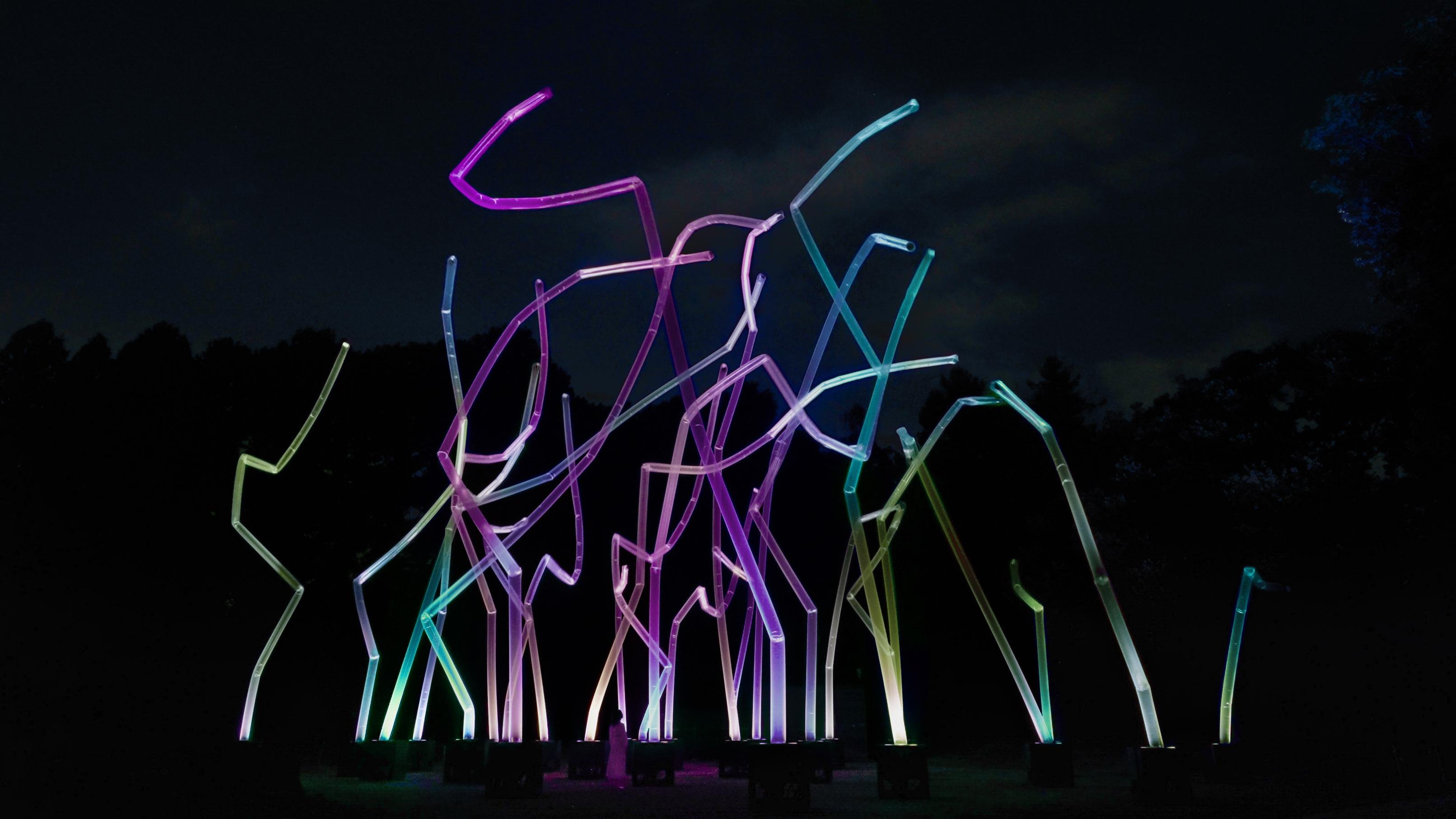 Osaka: teamLab Botanical Garden Night Entry
