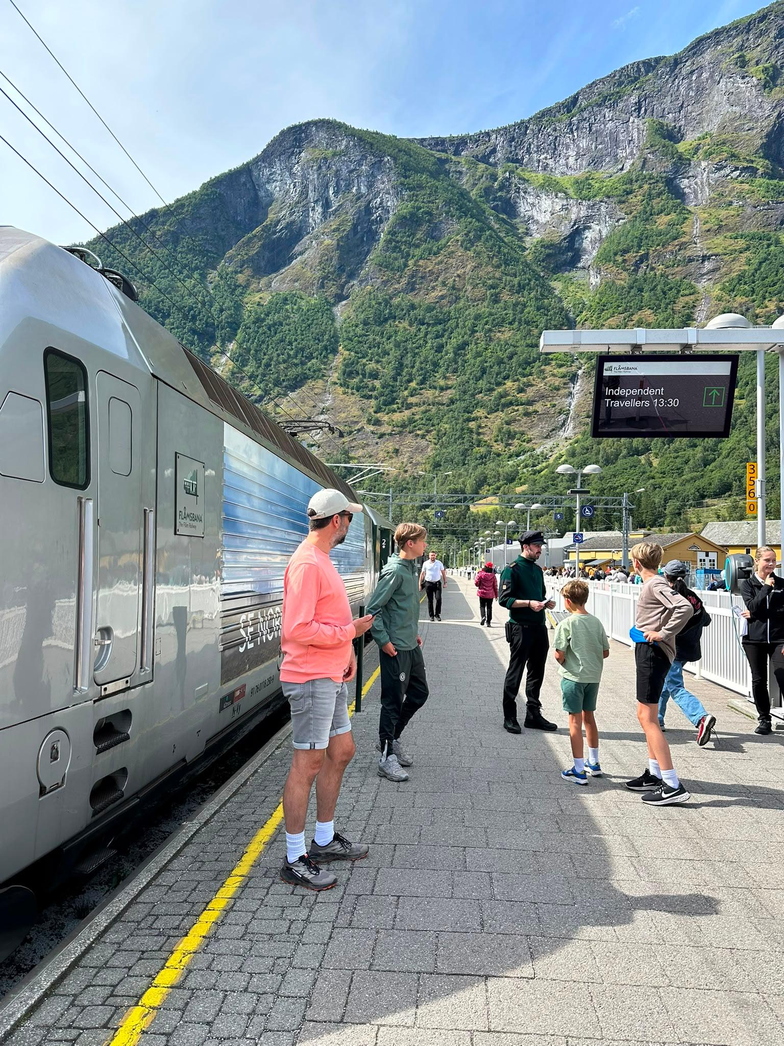 Bergen to Flåm Railway & Fjord Cruise with Farm Lunch