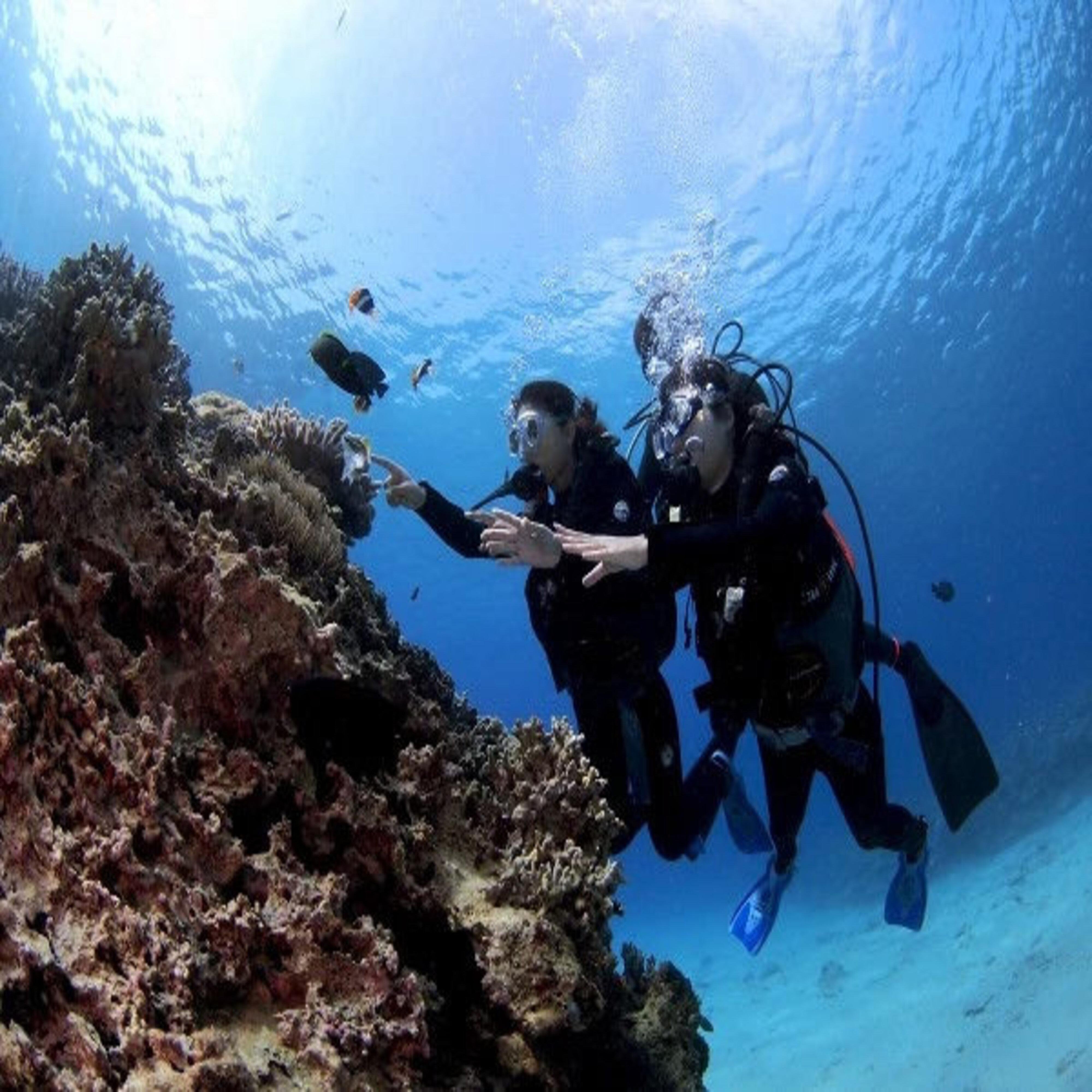 Okinawa: Blue Cave Scuba Diving Tour with GoPro Photos