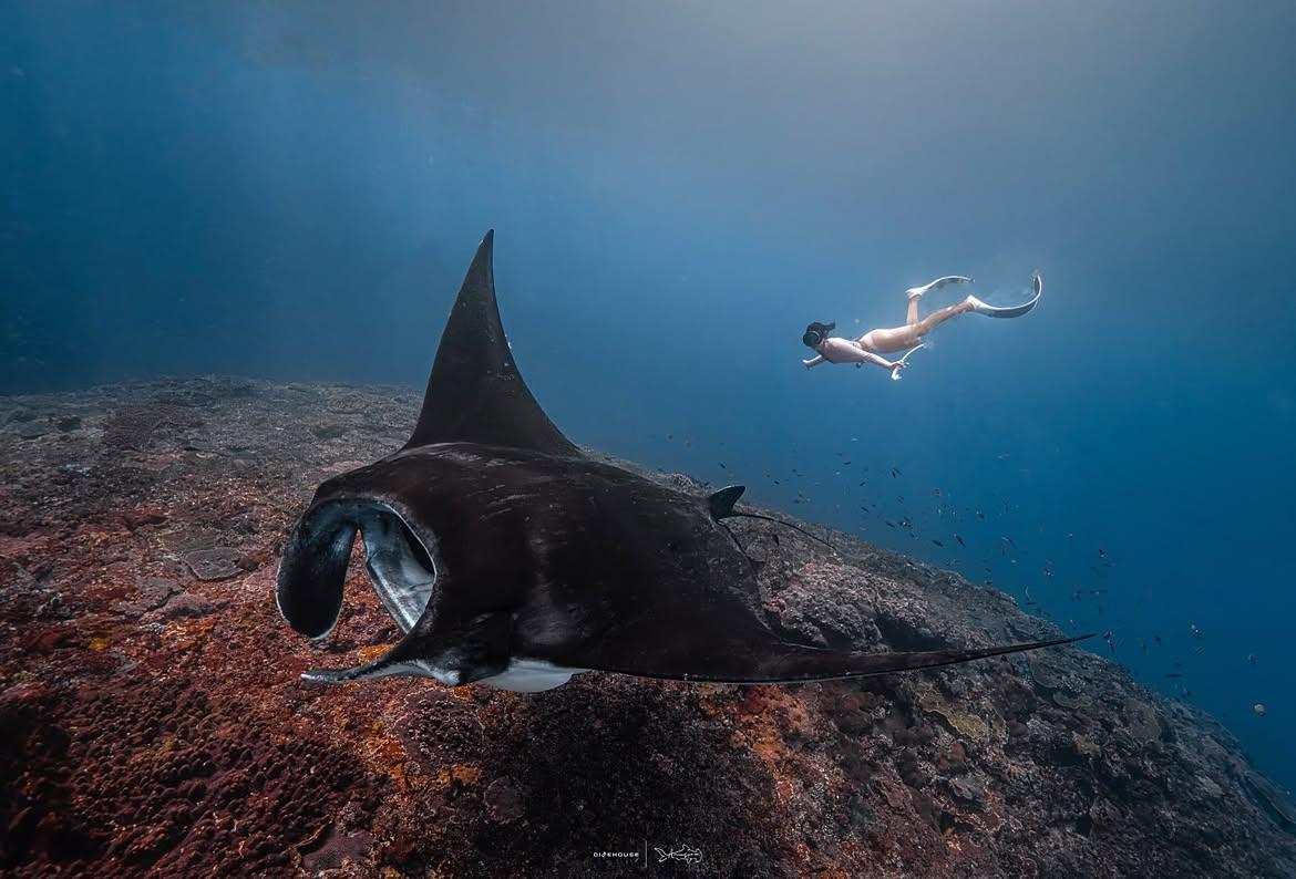 Nusa Penida 3-Spot Snorkeling Adventure