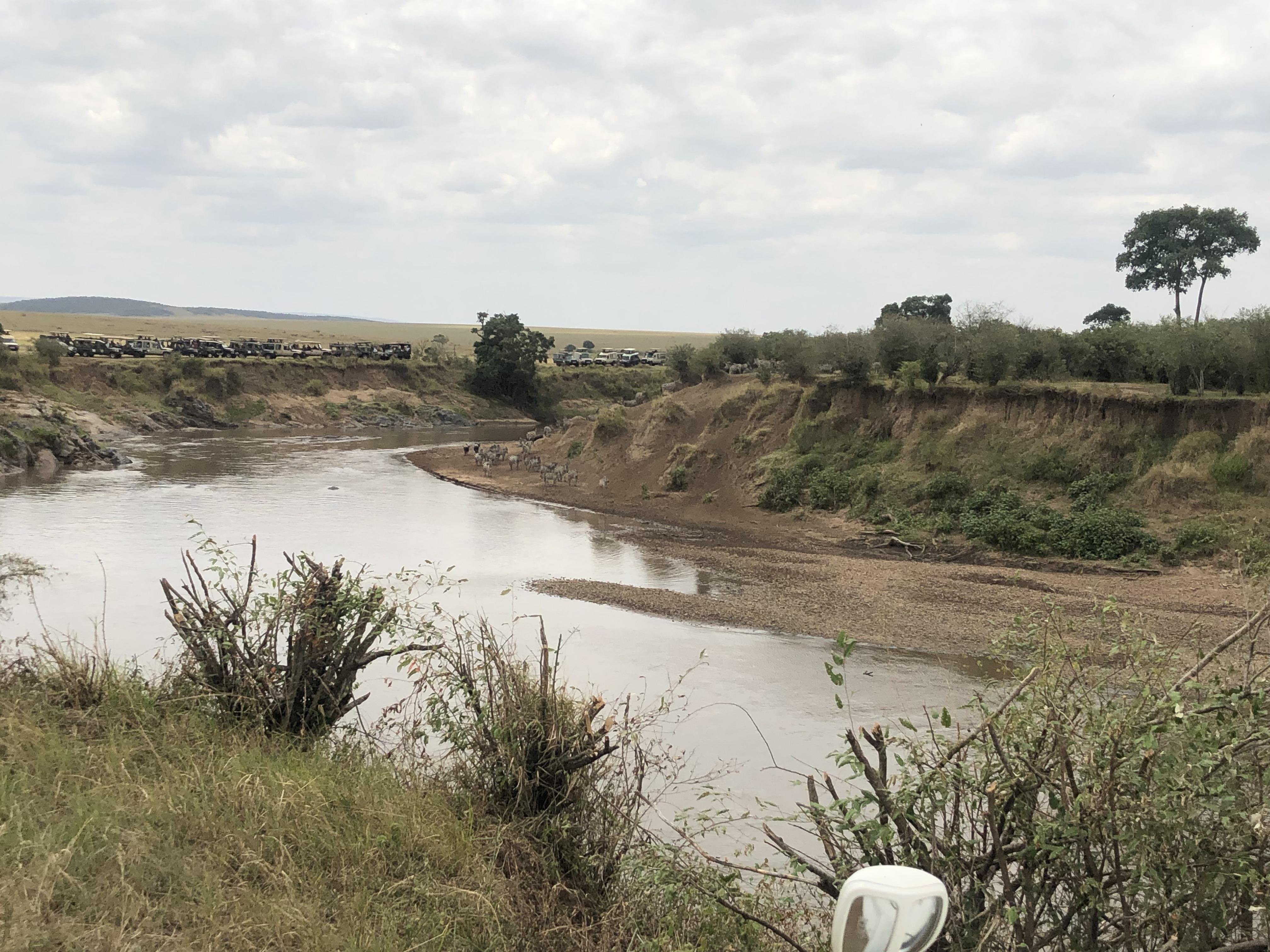 Maasai Mara Express: 1-Day Safari from Nairobi